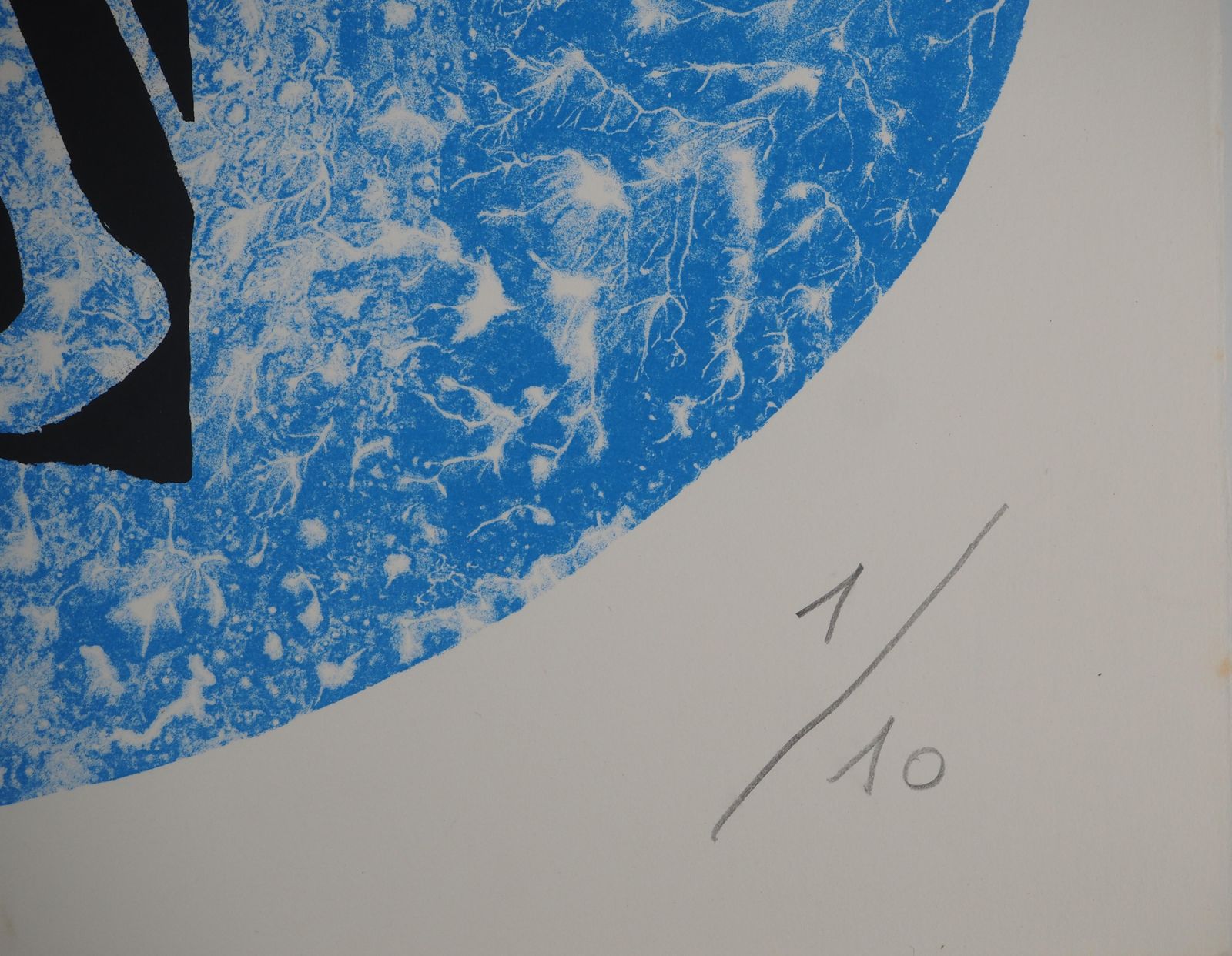 Yvon Taillandierthe Catitipede In An Oval   Original Handsigned Screen Print photo buy