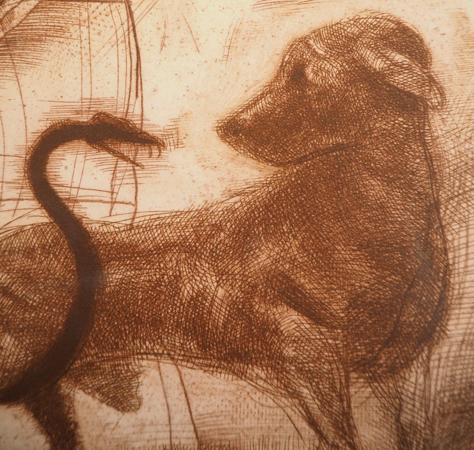 Miguel Condeveterinarian, Animal Lover   Original Etching, Handsigned & Numbered /801981 photo 173.0