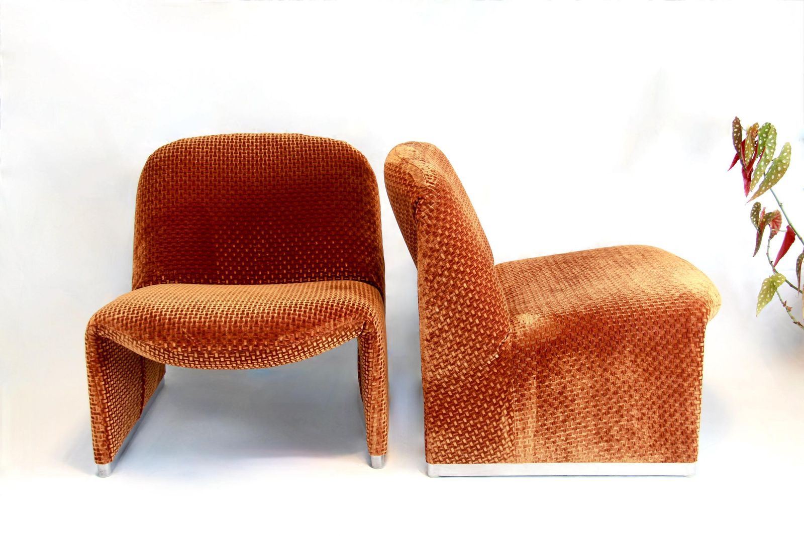 Alky Chairs, Vintage Velvet Chairs By Giancarlo Piretti For Anonima Castelli, Set Of 2, Italy, 1970s photo for sale