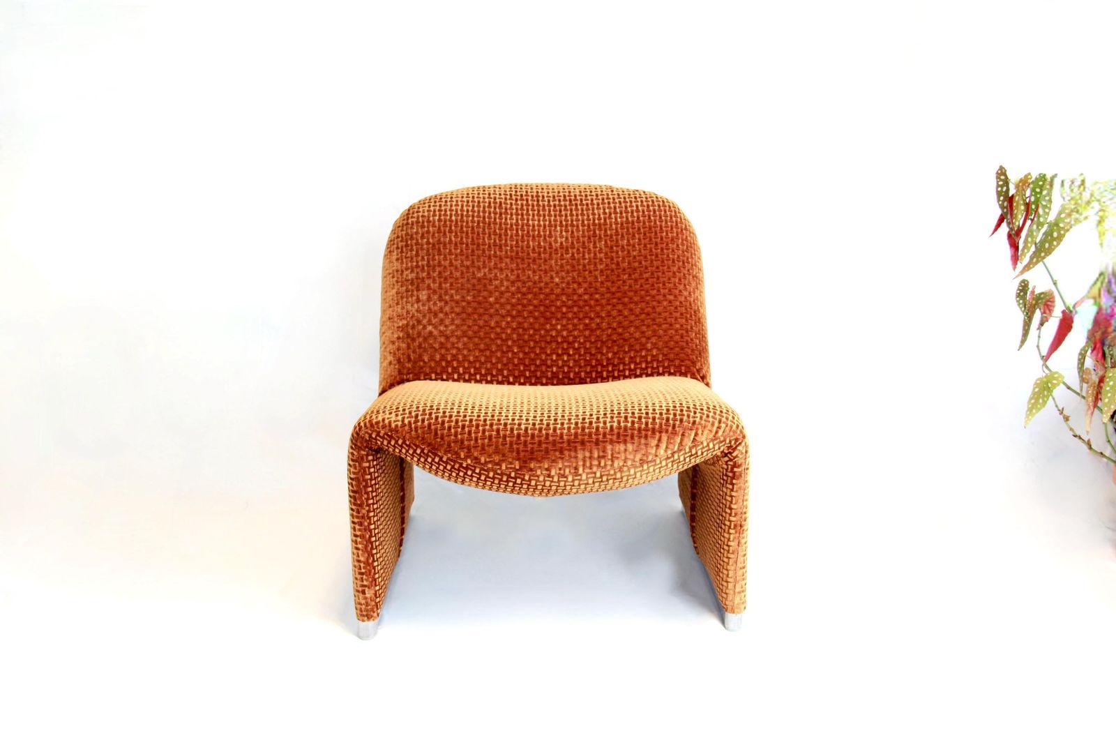 Alky Chairs, Vintage Velvet Chairs By Giancarlo Piretti For Anonima Castelli, Set Of 2, Italy, 1970s photo 4890.0