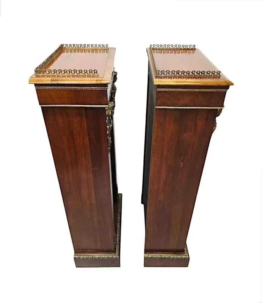 photo furniture A Very Rare Pair Of 19th Century Bookcases With Ormolu Mounts