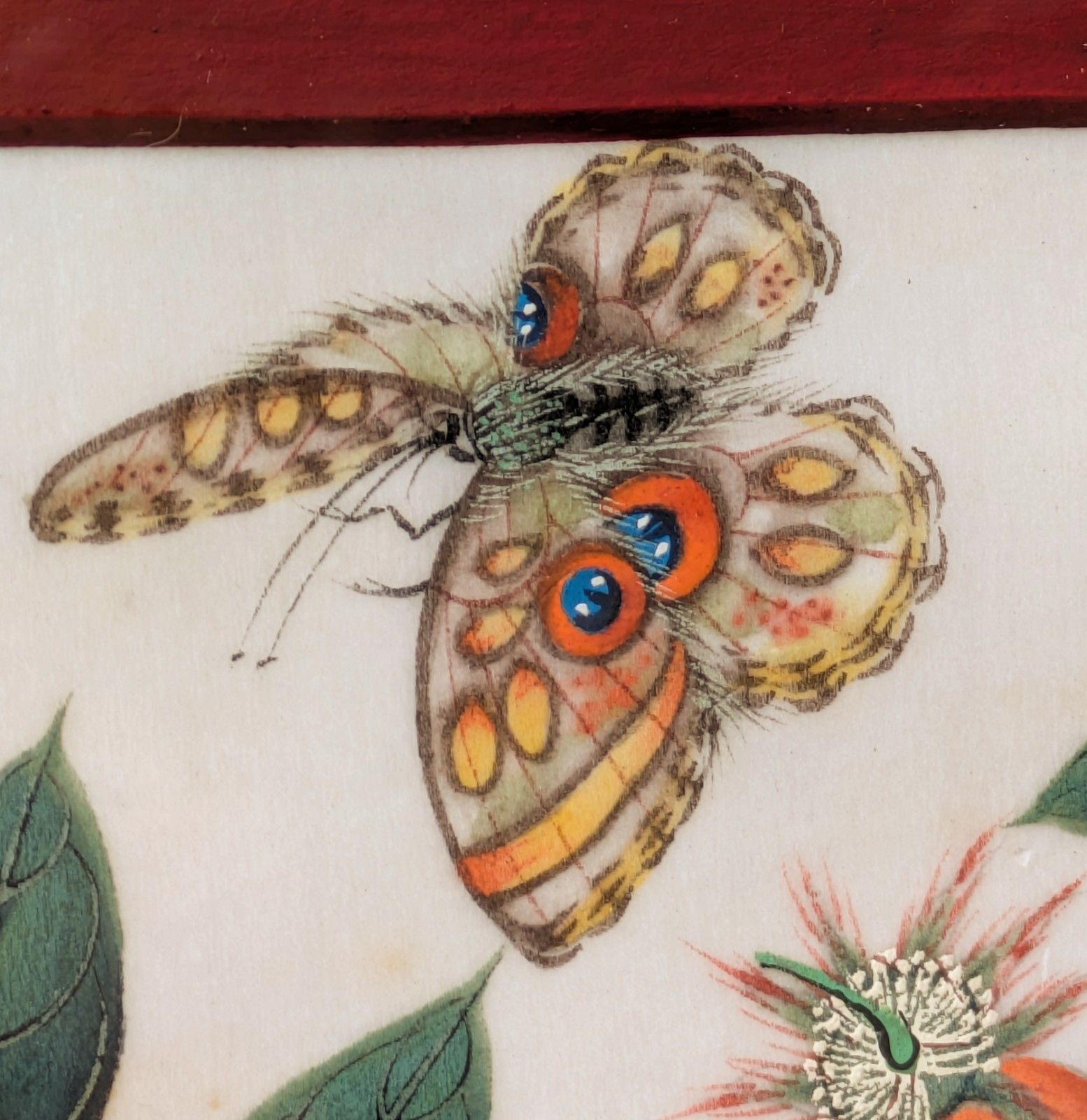 Antique Chinese Watercolour Painting Butterflies And Blossoms photo vinterior