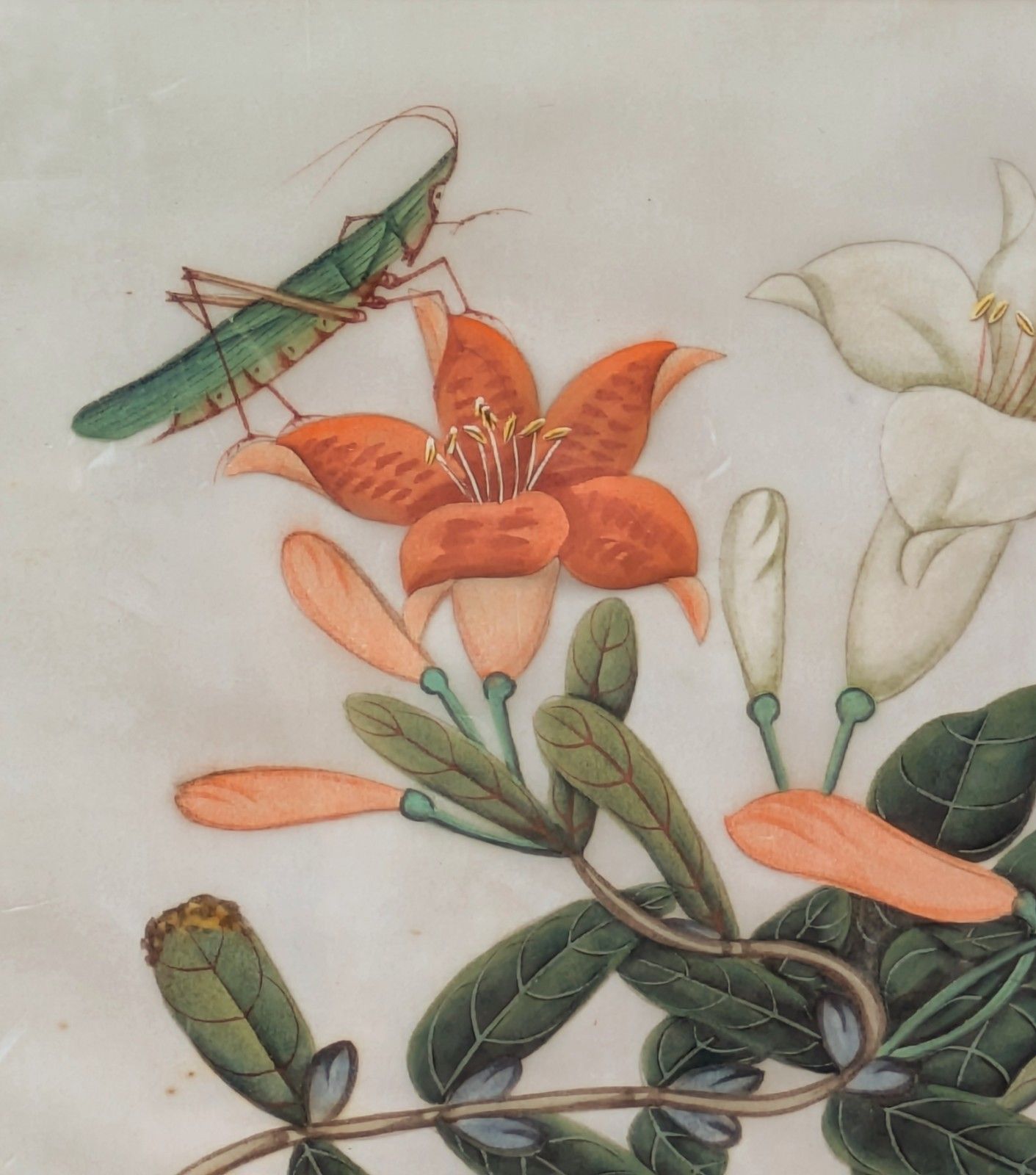 Antique Chinese Watercolour Painting Butterflies & Blossom photo 185.0