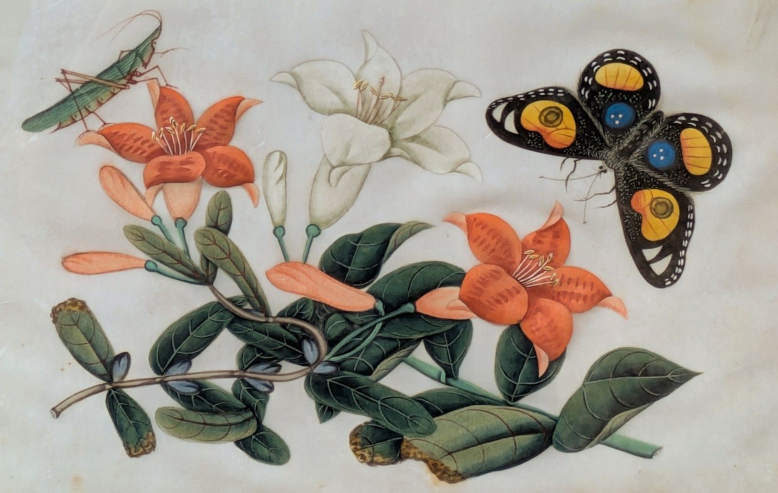 Antique Chinese Watercolour Painting Butterflies & Blossom photo vinterior