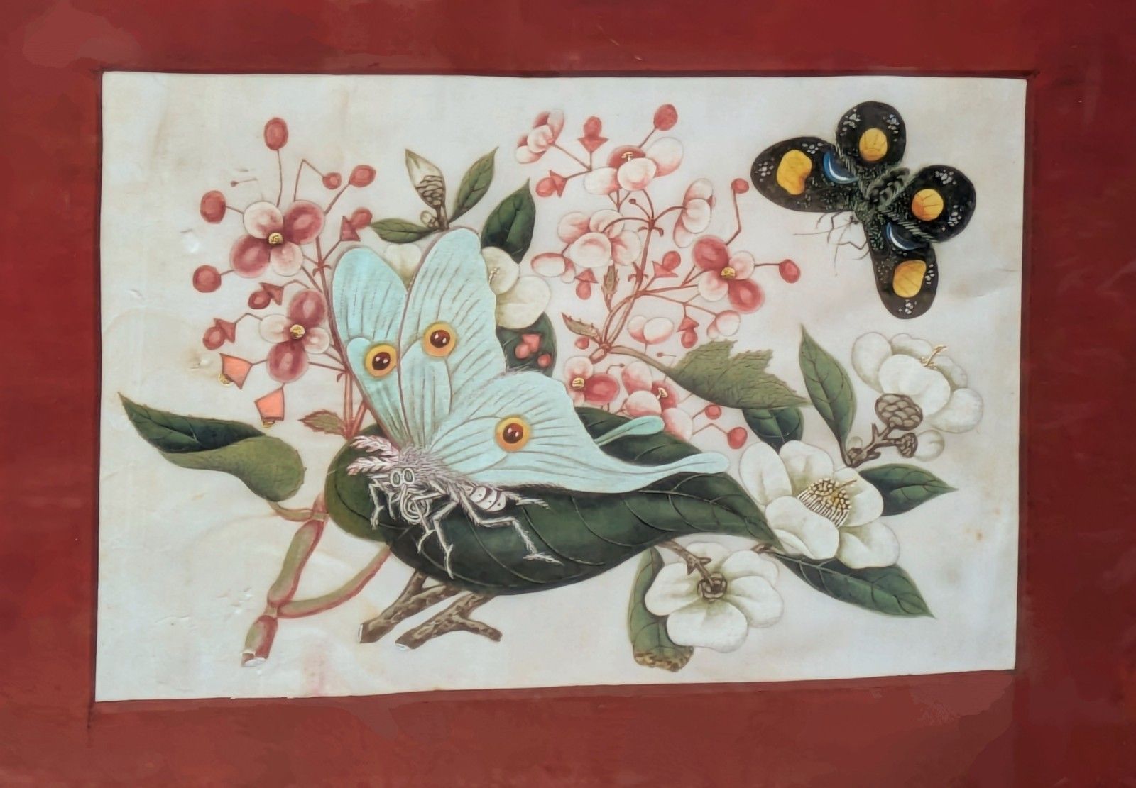 Antique Chinese Watercolour Painting Butterflies And Blossoms photo for sale