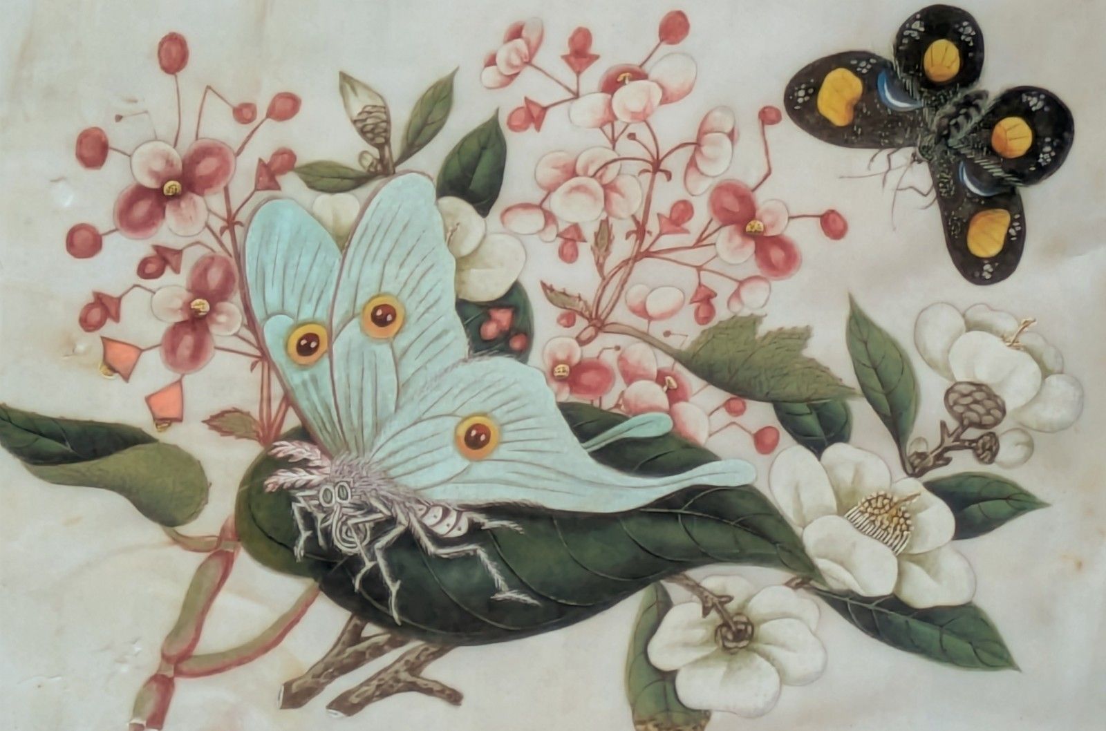 Antique Chinese Watercolour Painting Butterflies And Blossoms photo Art