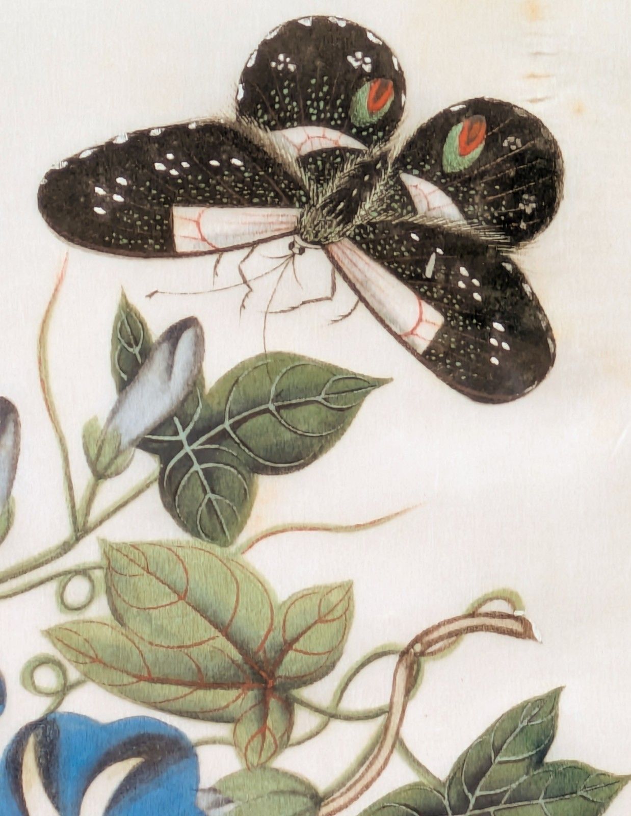 Antique Chinese Watercolour Painting Butterflies & Blossom photo Art
