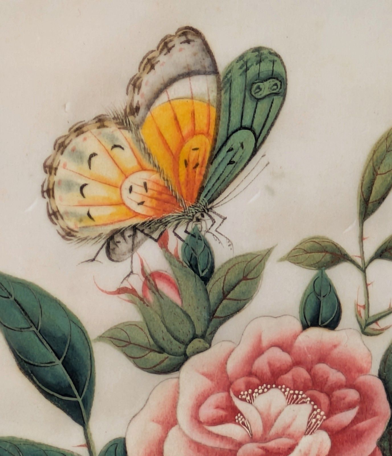 Antique Chinese Watercolour Painting Butterflies And Blossoms photo for sale