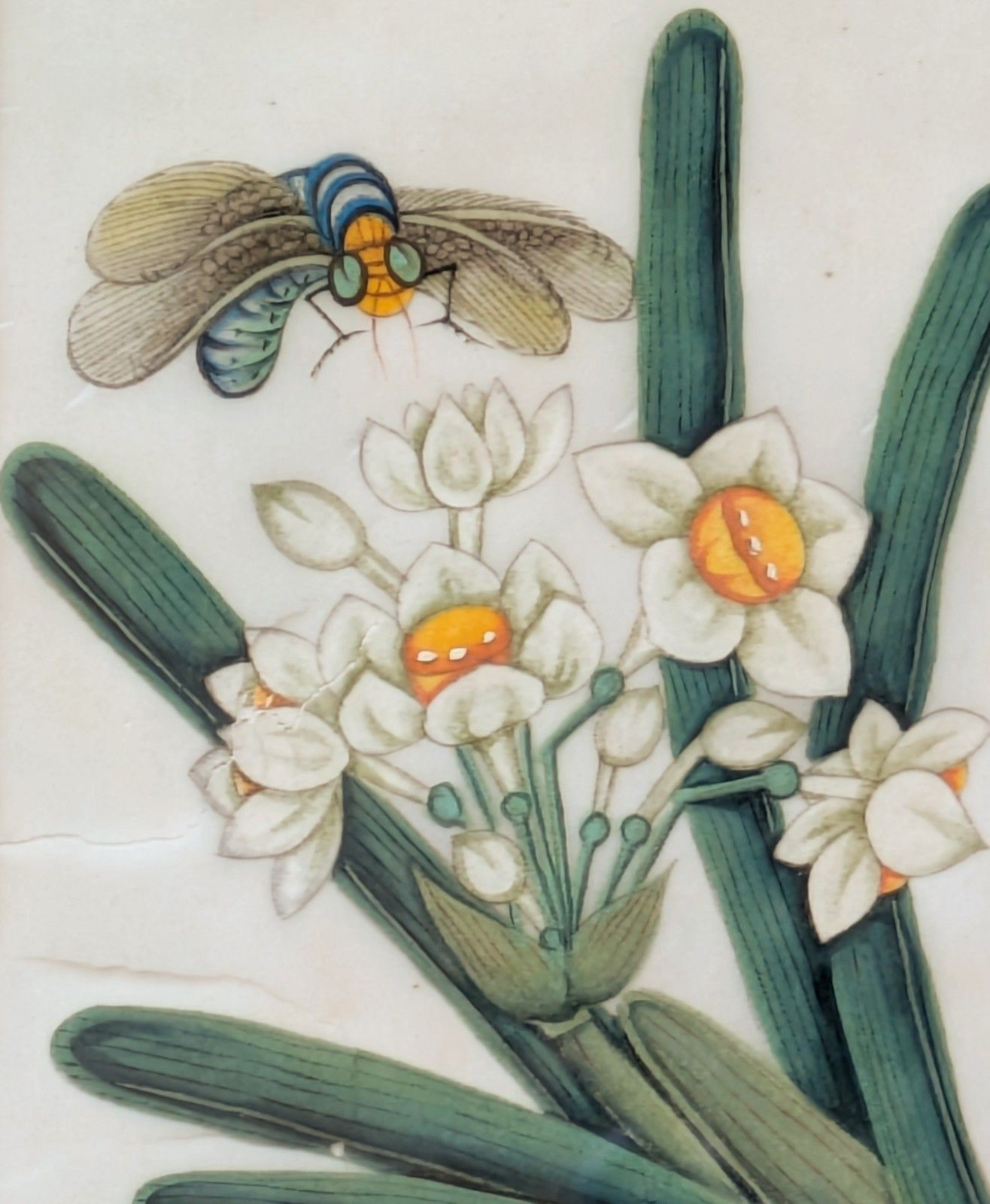 Antique Chinese Watercolour Painting Butterflies And Blossoms photo Art