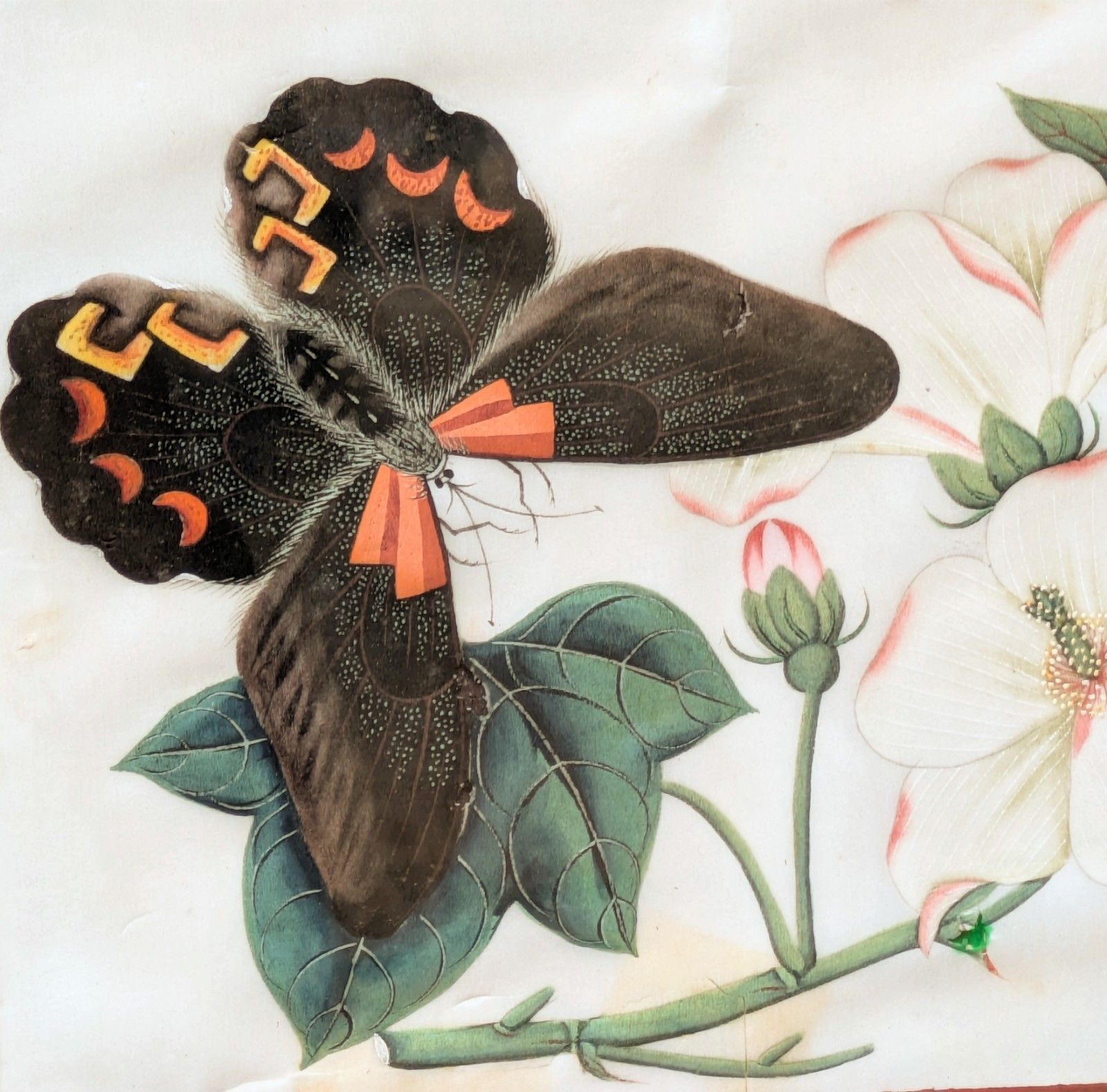 Antique Chinese Watercolour Painting Butterflies And Blossoms photo furniture