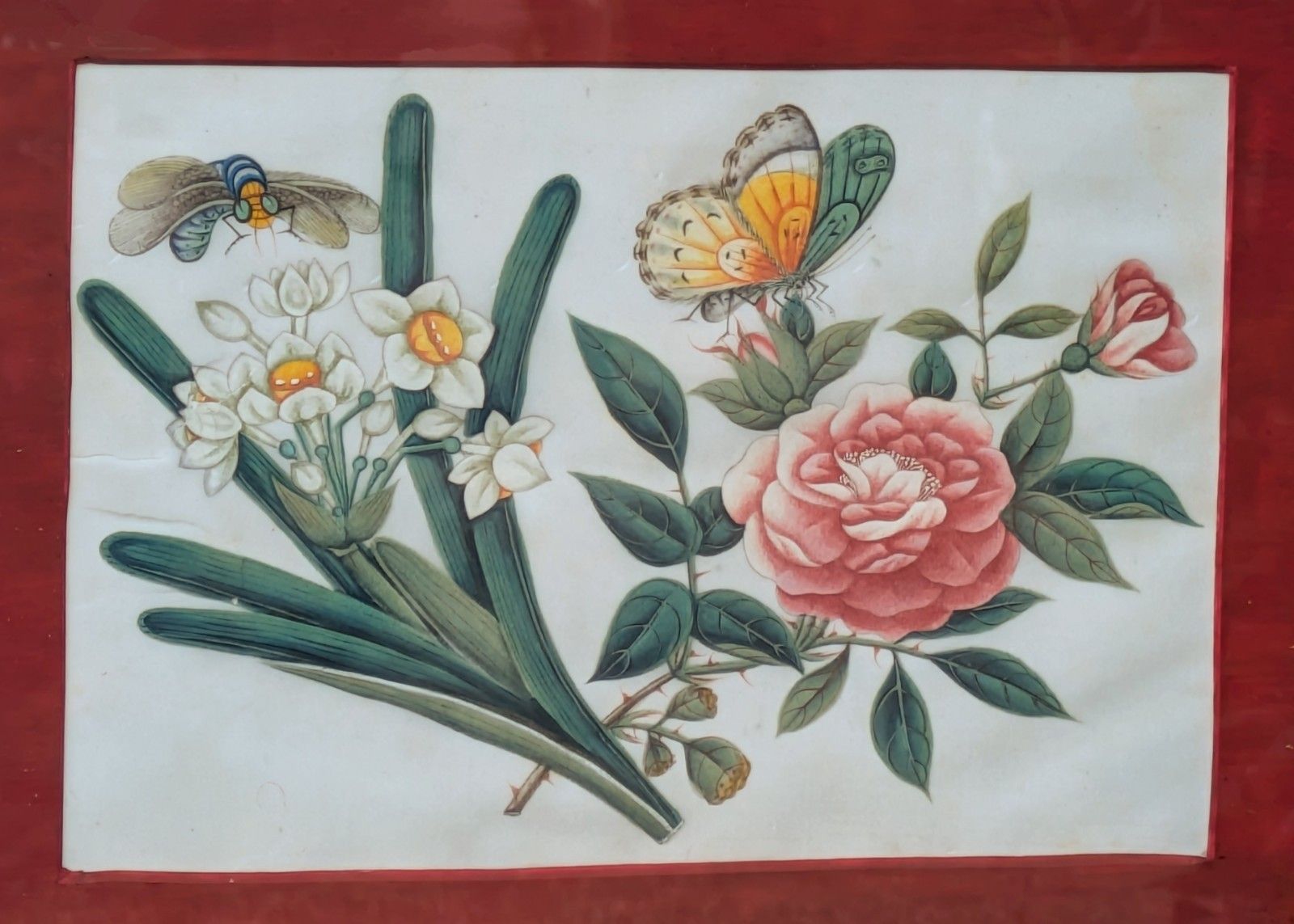 Antique Chinese Watercolour Painting Butterflies And Blossoms photo 185.0