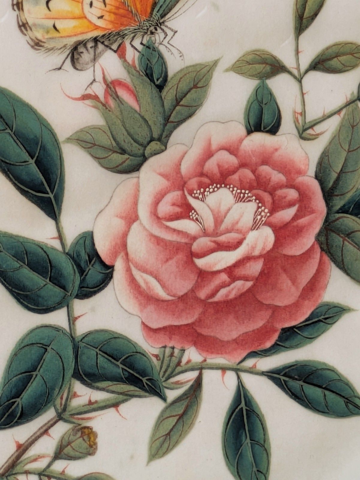 Antique Chinese Watercolour Painting Butterflies And Blossoms photo vinterior