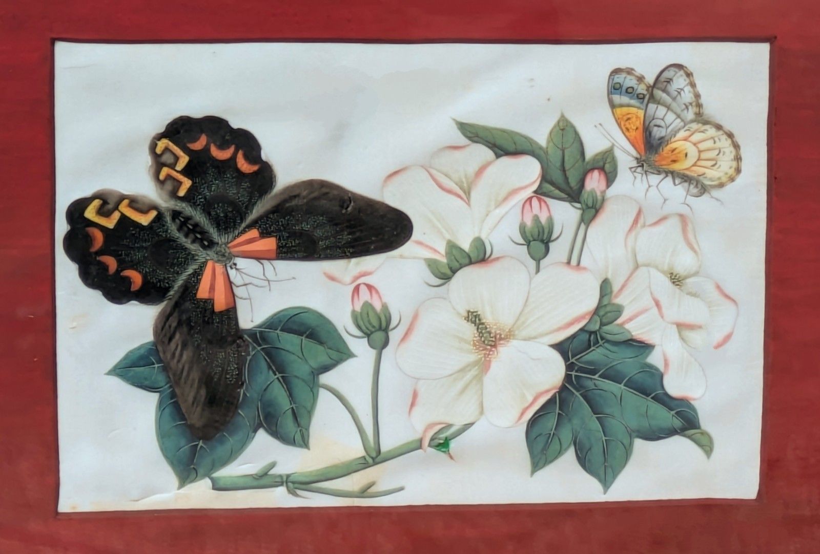 Antique Chinese Watercolour Painting Butterflies And Blossoms photo vinterior