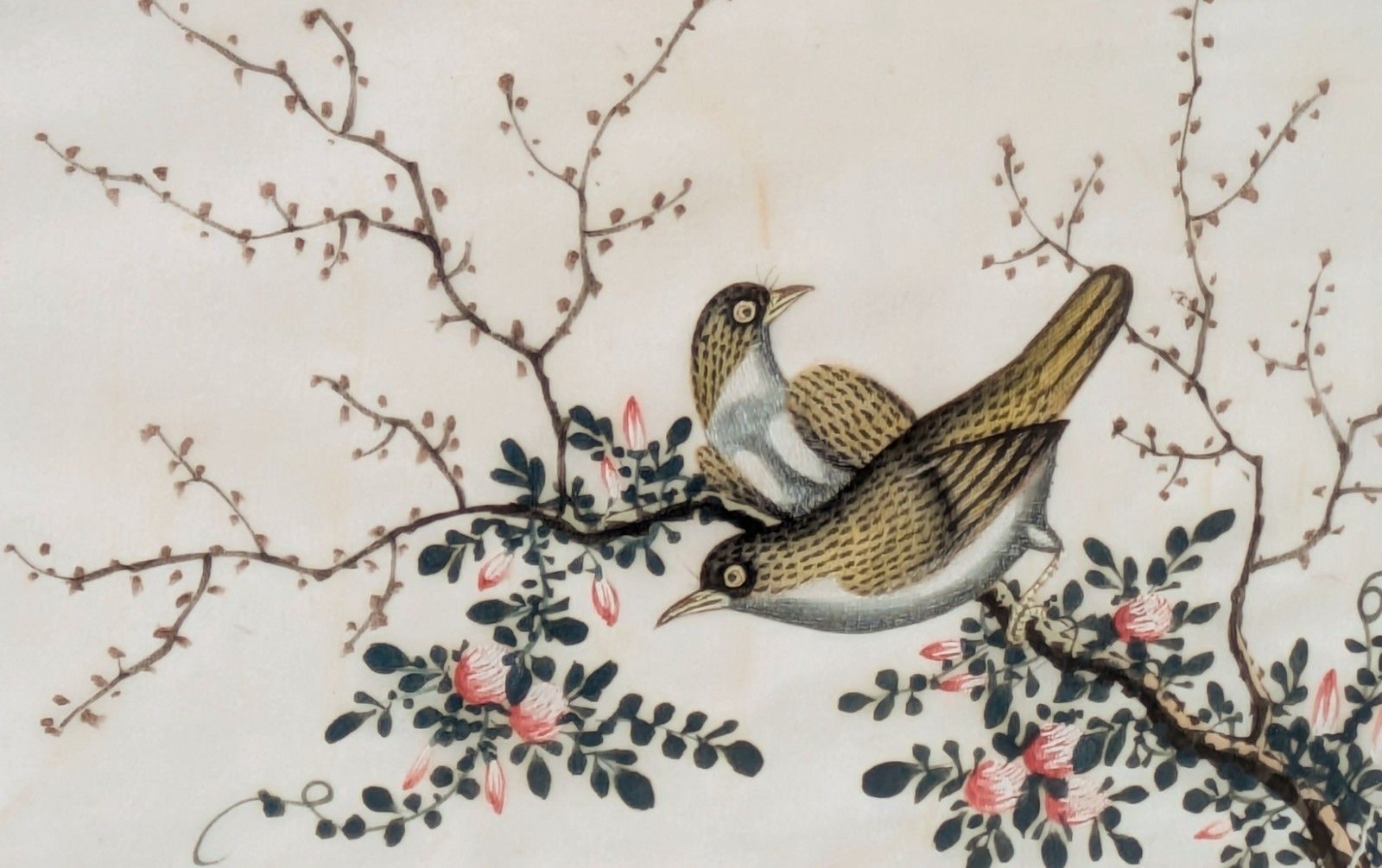 Antique Chinese Watercolour Painting Birds Among Branches photo 195.0