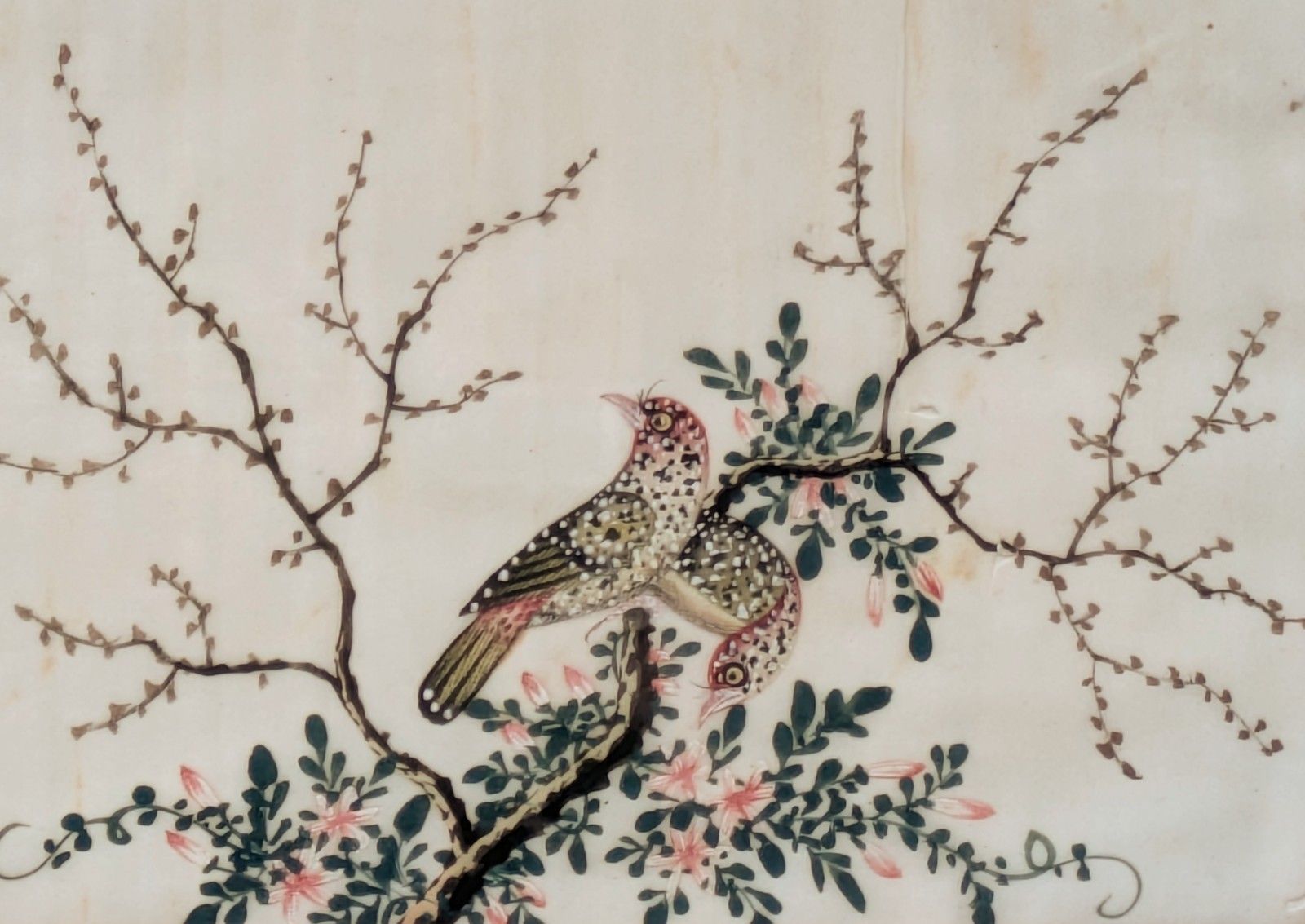 Antique Chinese Watercolour Painting Birds Among Branches photo furniture