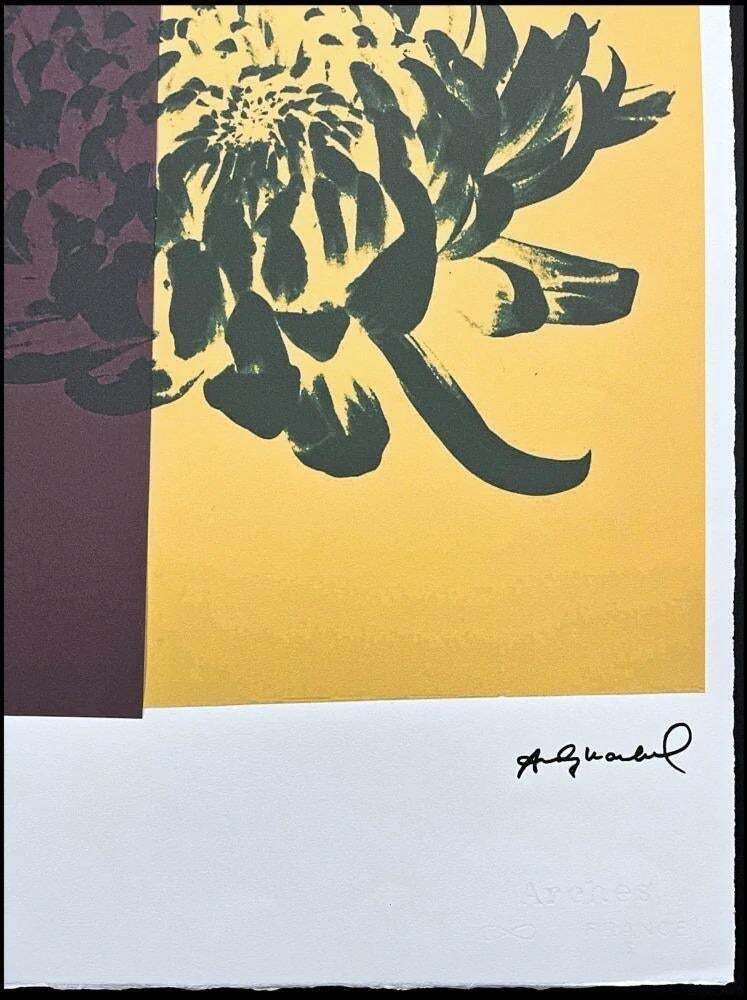 After Andy Warhol, Chrysanthemum Purple Yellow, 1980s, Lithograph photo Art