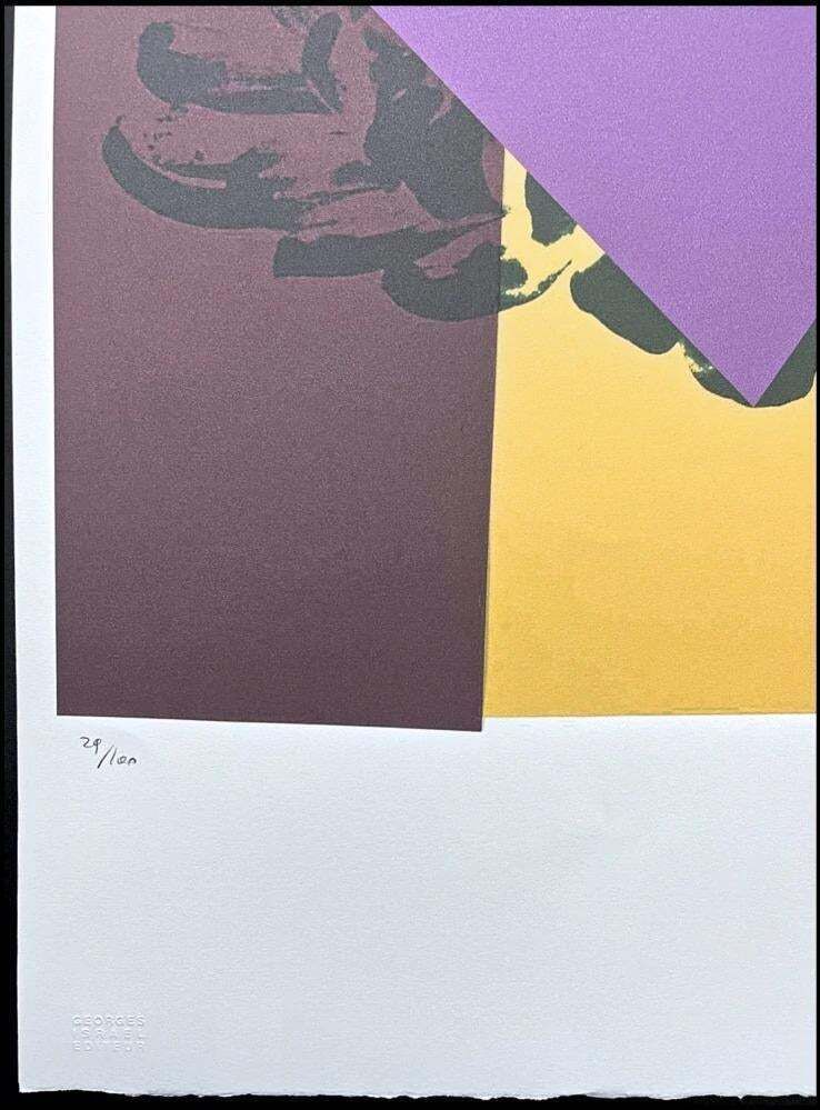 After Andy Warhol, Chrysanthemum Purple Yellow With Triangles, 1980s, Lithograph photo Art