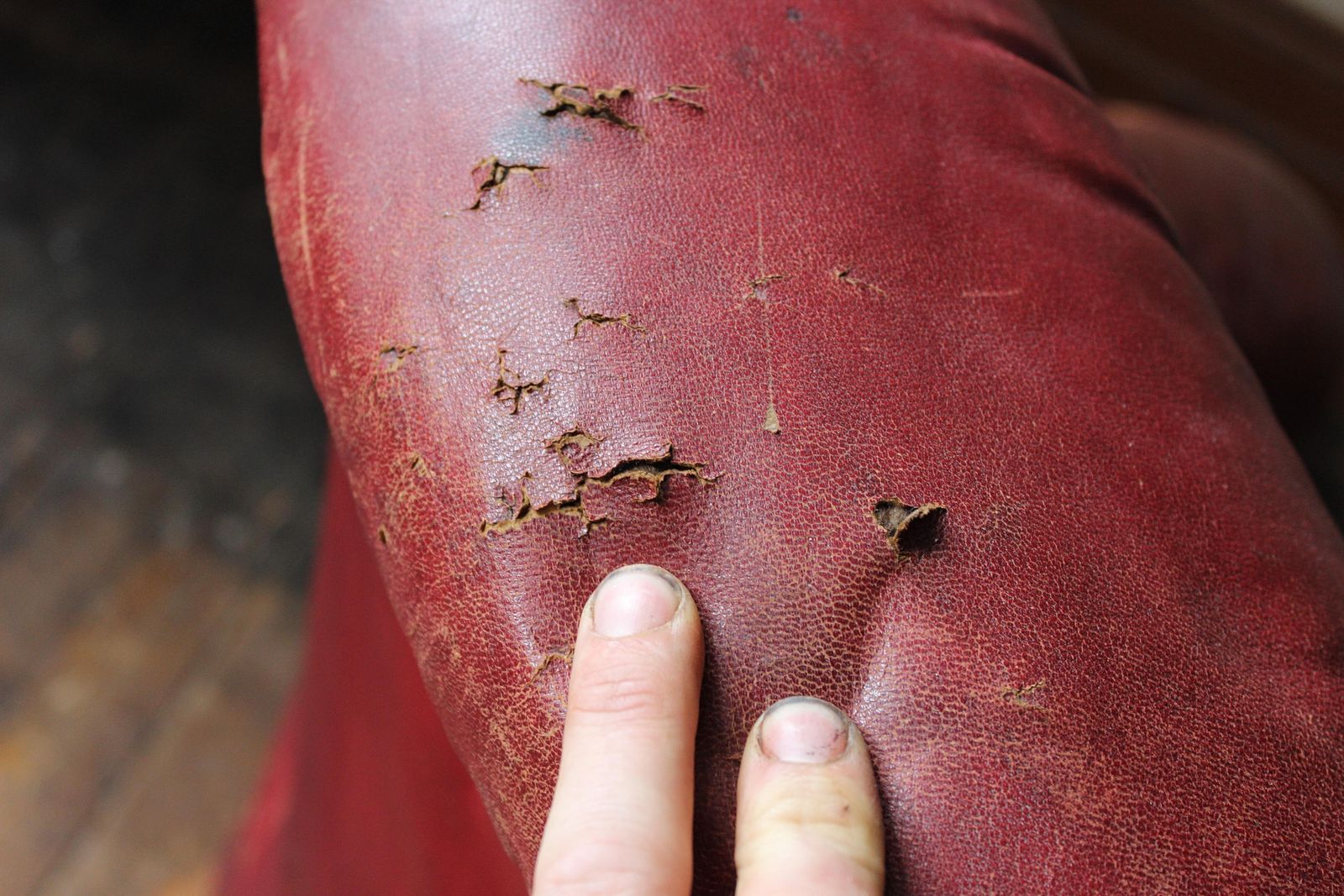 photo for sale Circa 1845 Robert Strahan & Co Ireland Dublin Red Leather Armchair, Elveden Hall