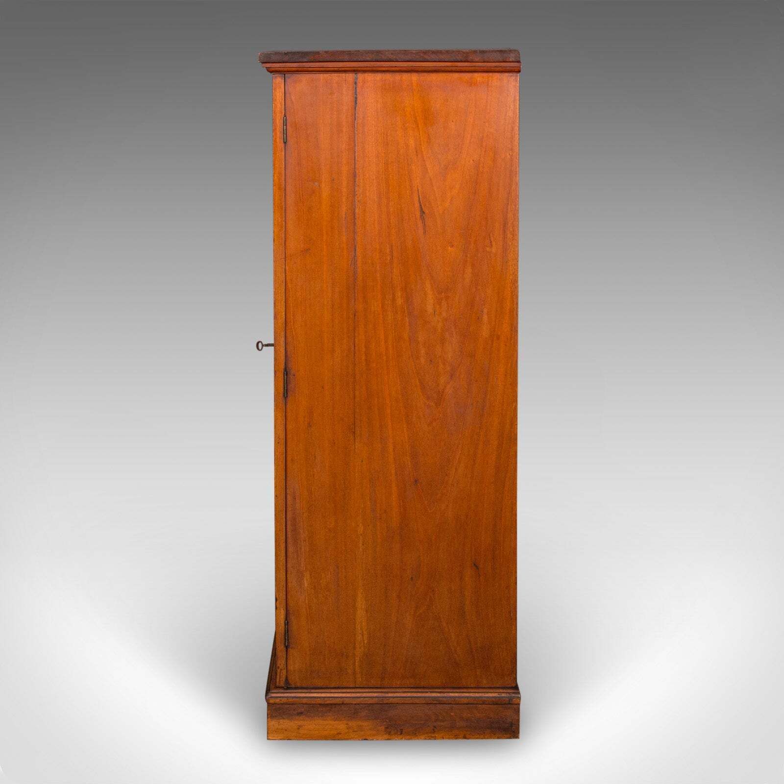 Antique Wellington Chest, English Walnut Specimen Collector's Drawers, Victorian photo vintage