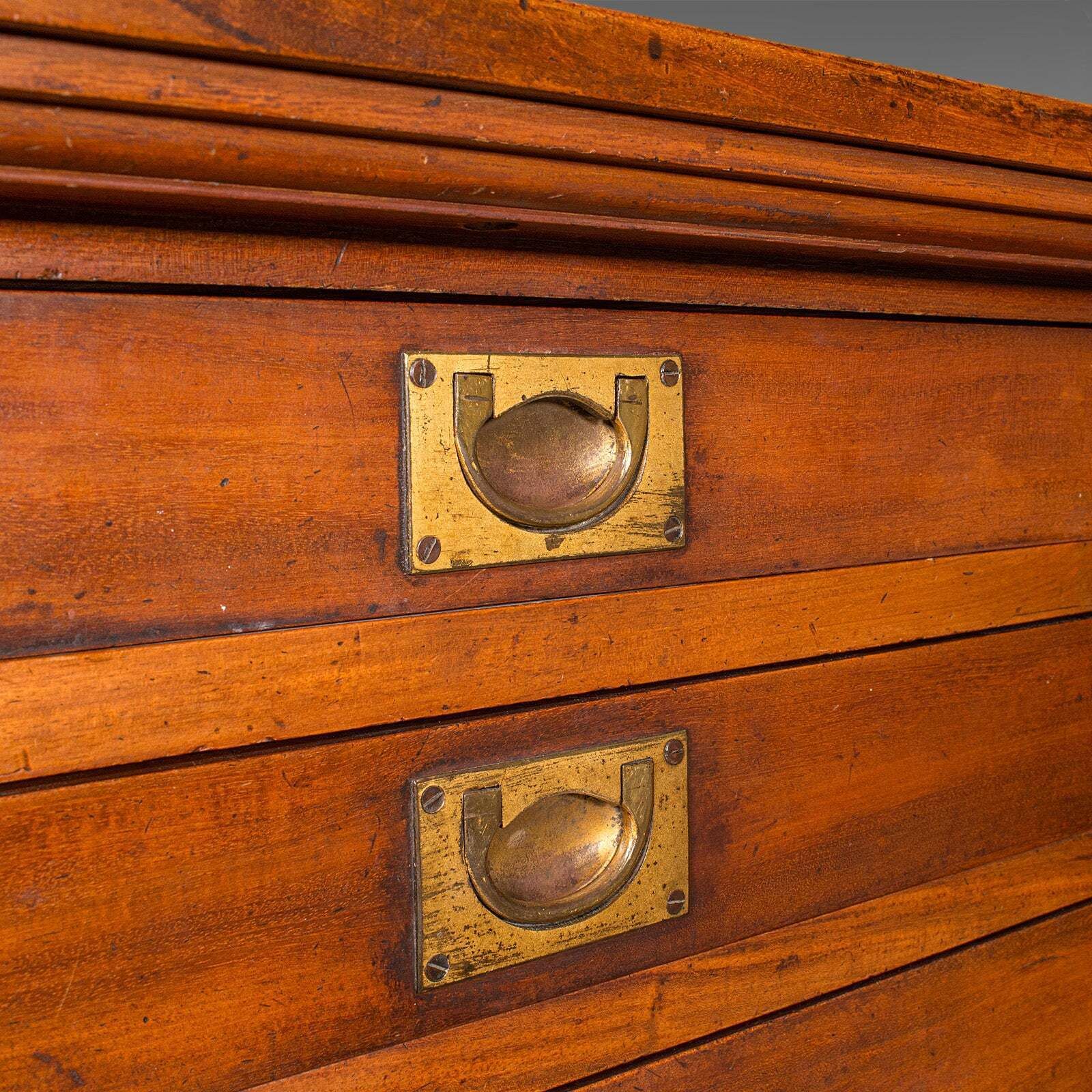 4026.0 Antique Wellington Chest, English Walnut Specimen Collector's Drawers, Victorian photo