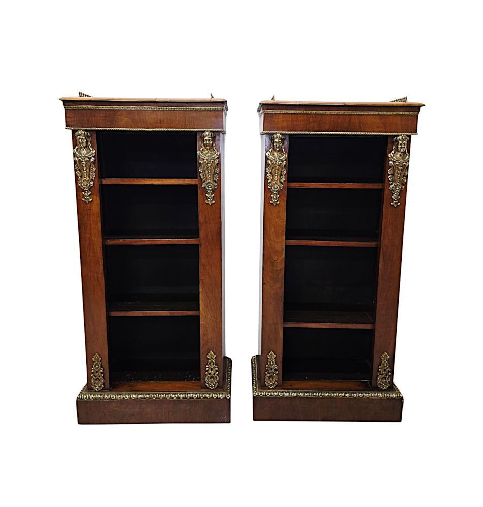 A Very Rare Pair Of 19th Century Bookcases With Ormolu Mounts photo furniture