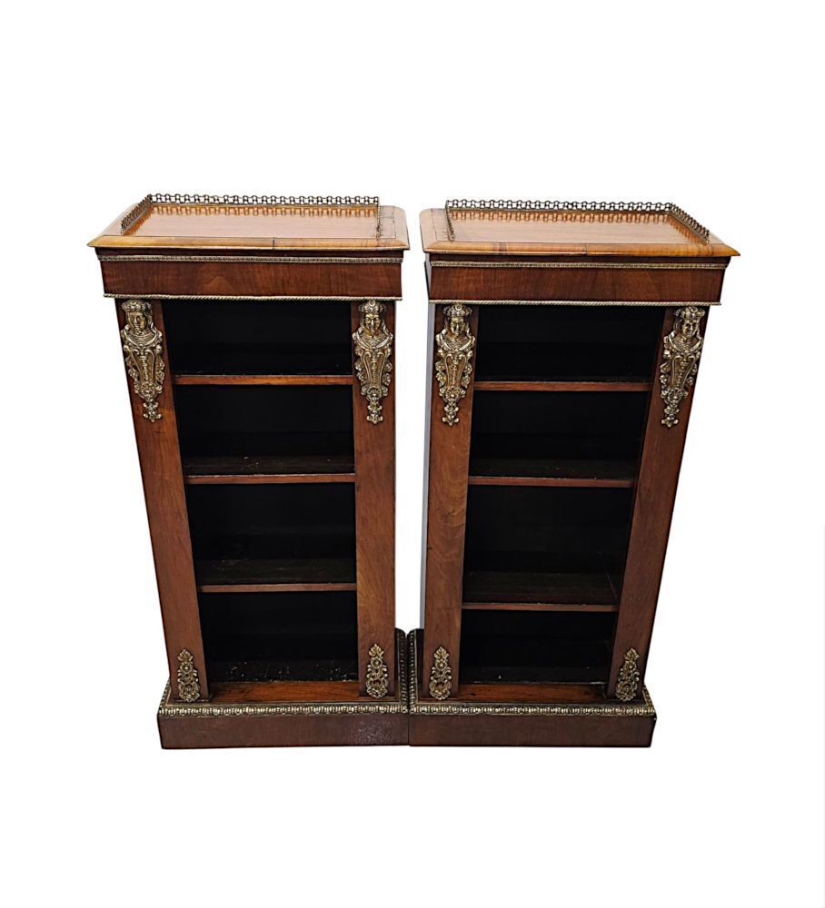 A Very Rare Pair Of 19th Century Bookcases With Ormolu Mounts photo vinterior