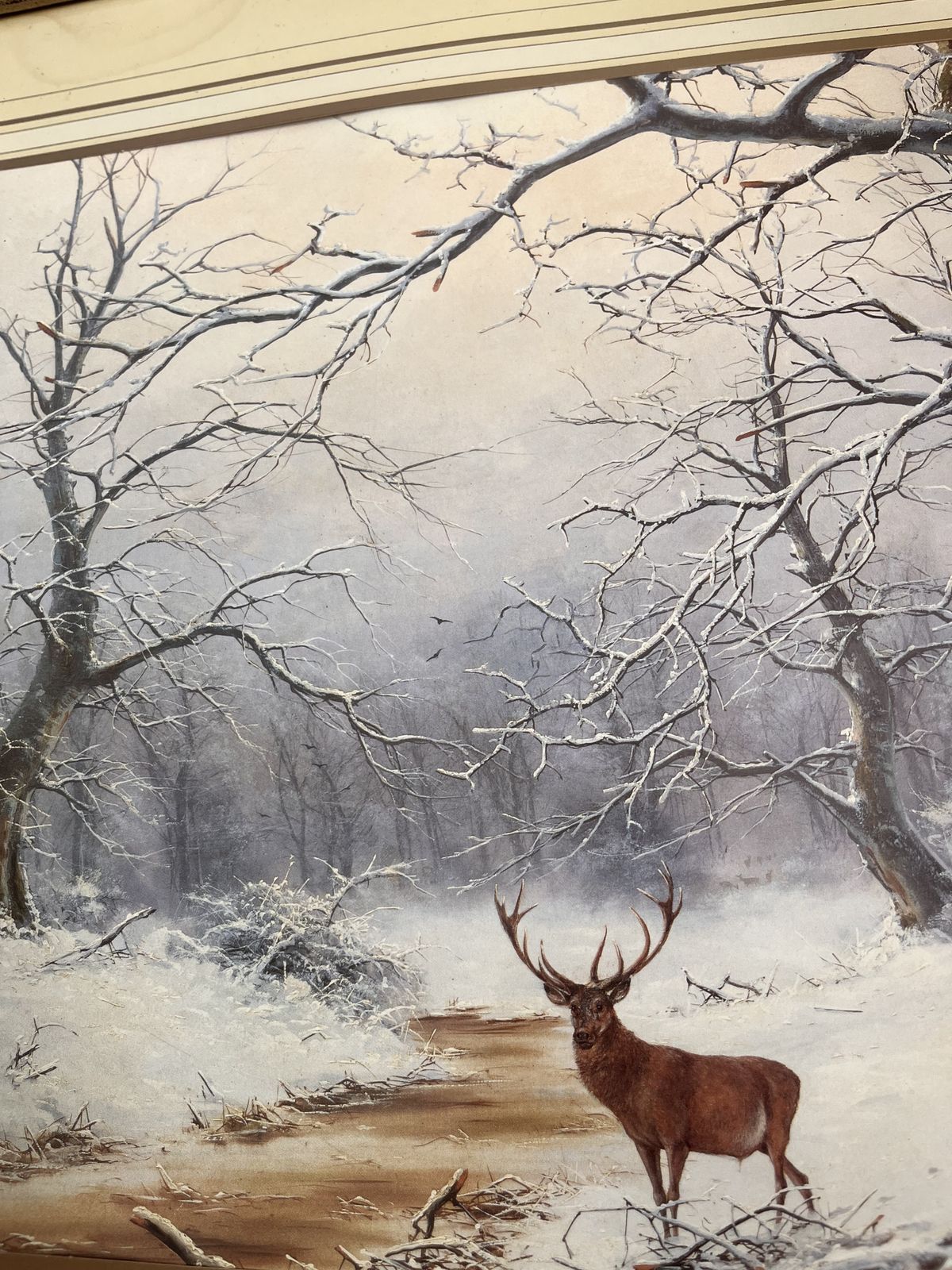 The Lone Stag By H. N. Christiansen – Framed Wildlife Print photo for sale
