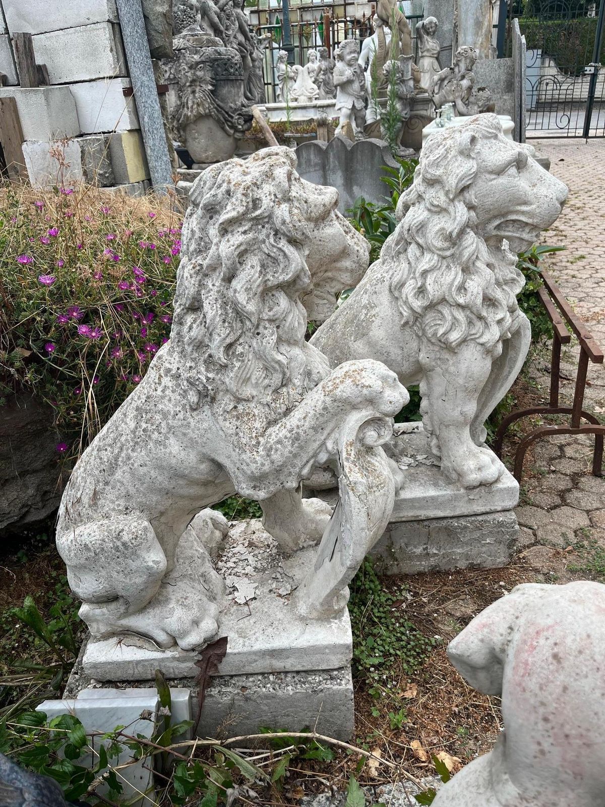 Coppia Di Statue Di Leoni Con Scudo, In Cemento Bianco, Da Esterno, Italia photo for sale