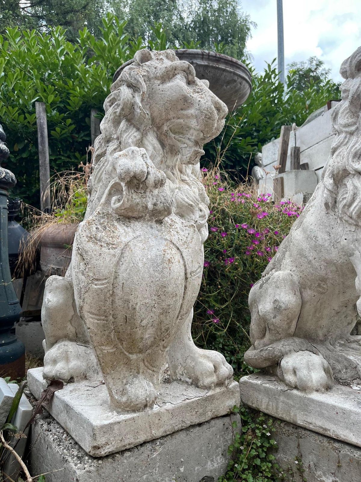 Coppia Di Statue Di Leoni Con Scudo, In Cemento Bianco, Da Esterno, Italia photo vinterior