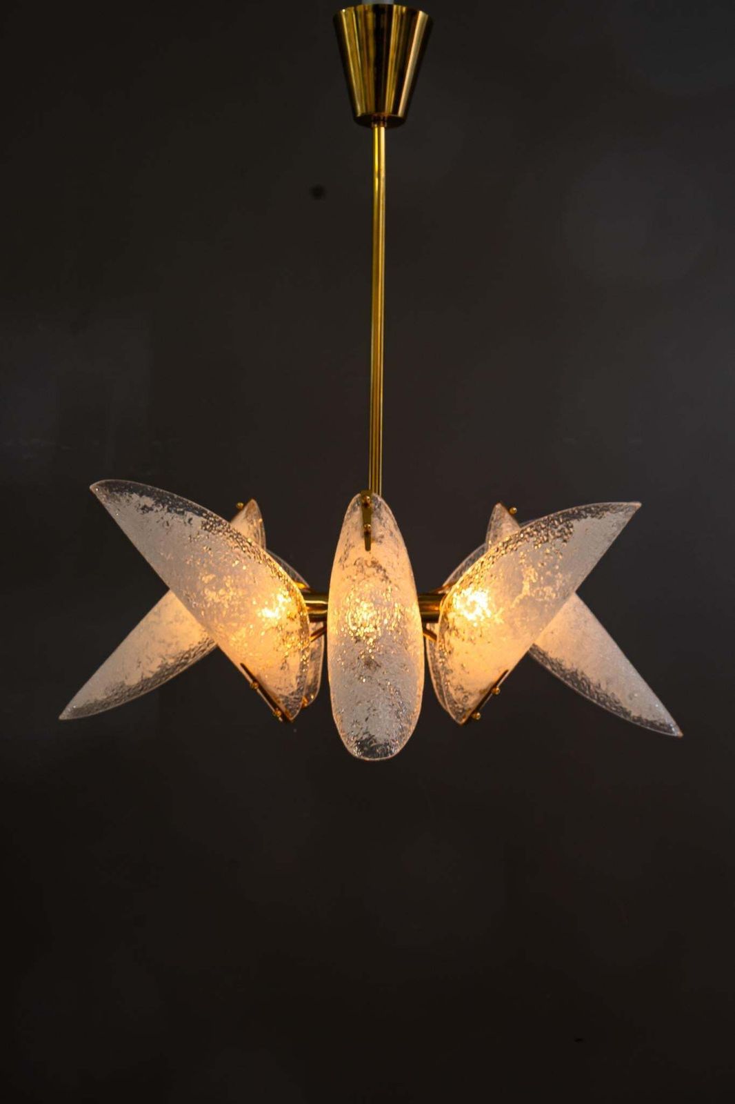 1293.0 Rupert Nikoll Chandelier With Original Lucite Shades Vienna Around 1960s photo