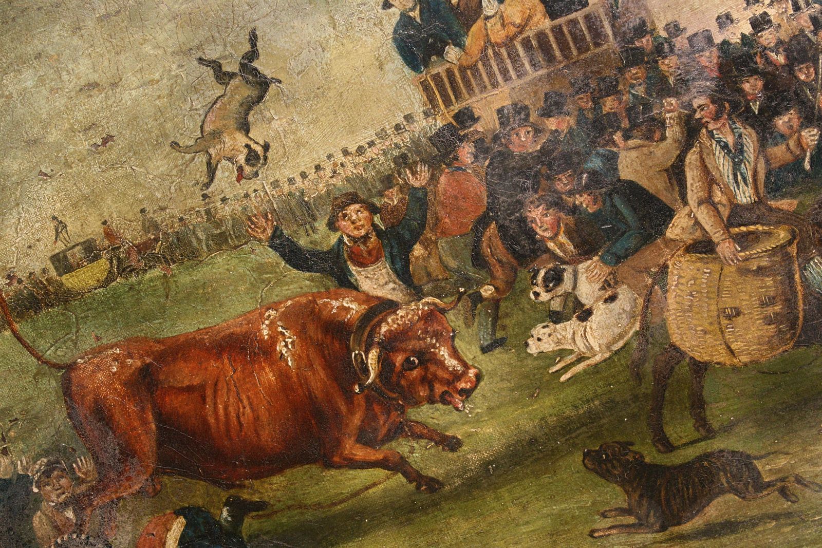 Late Naive English School "Bull Broke Loose" Bull Baiting Oil On Canvas photo for sale