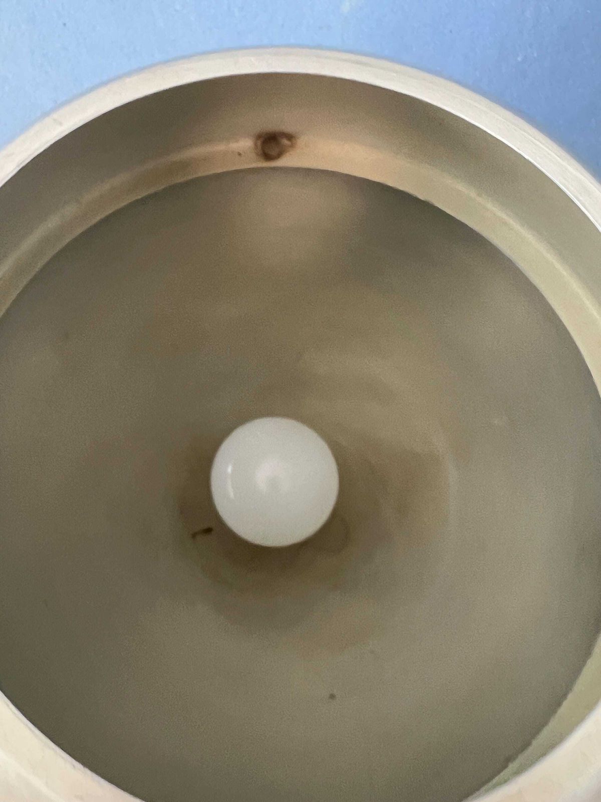 photo for sale Vintage Mid Century Zilveren Globe Wandlamp Met Zwenkarm