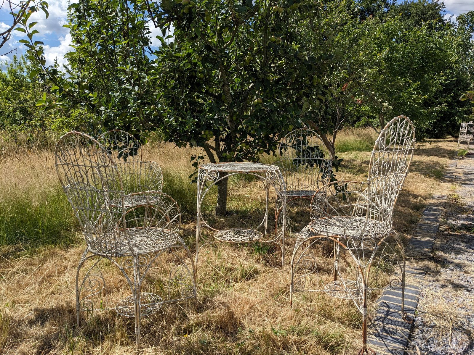 Wirework Garden Table & Chairs photo furniture