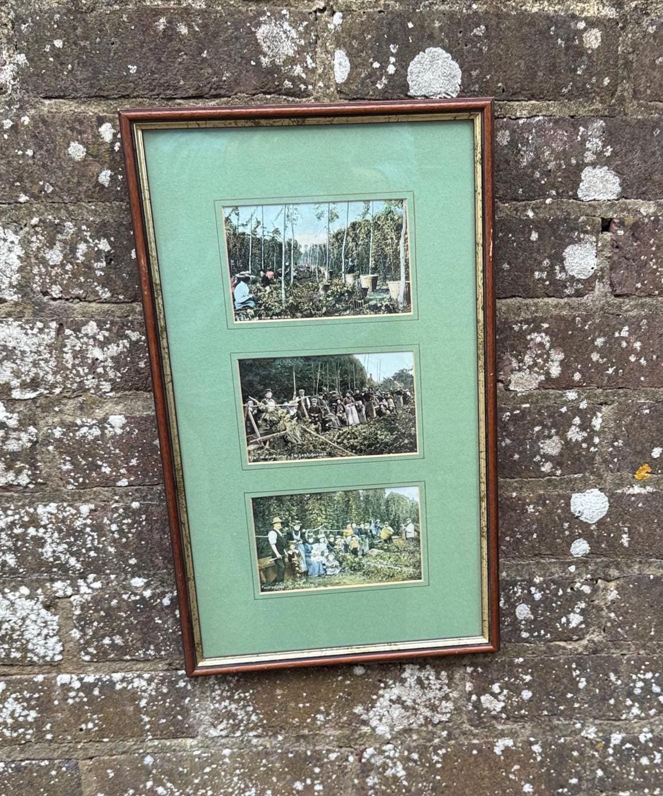 Antique Edwardian Hop Picking   Kent Series   Invicta   Hand Tinted Postcards With Original Stamps, Kent Memorabilia, Incl Italian Address
