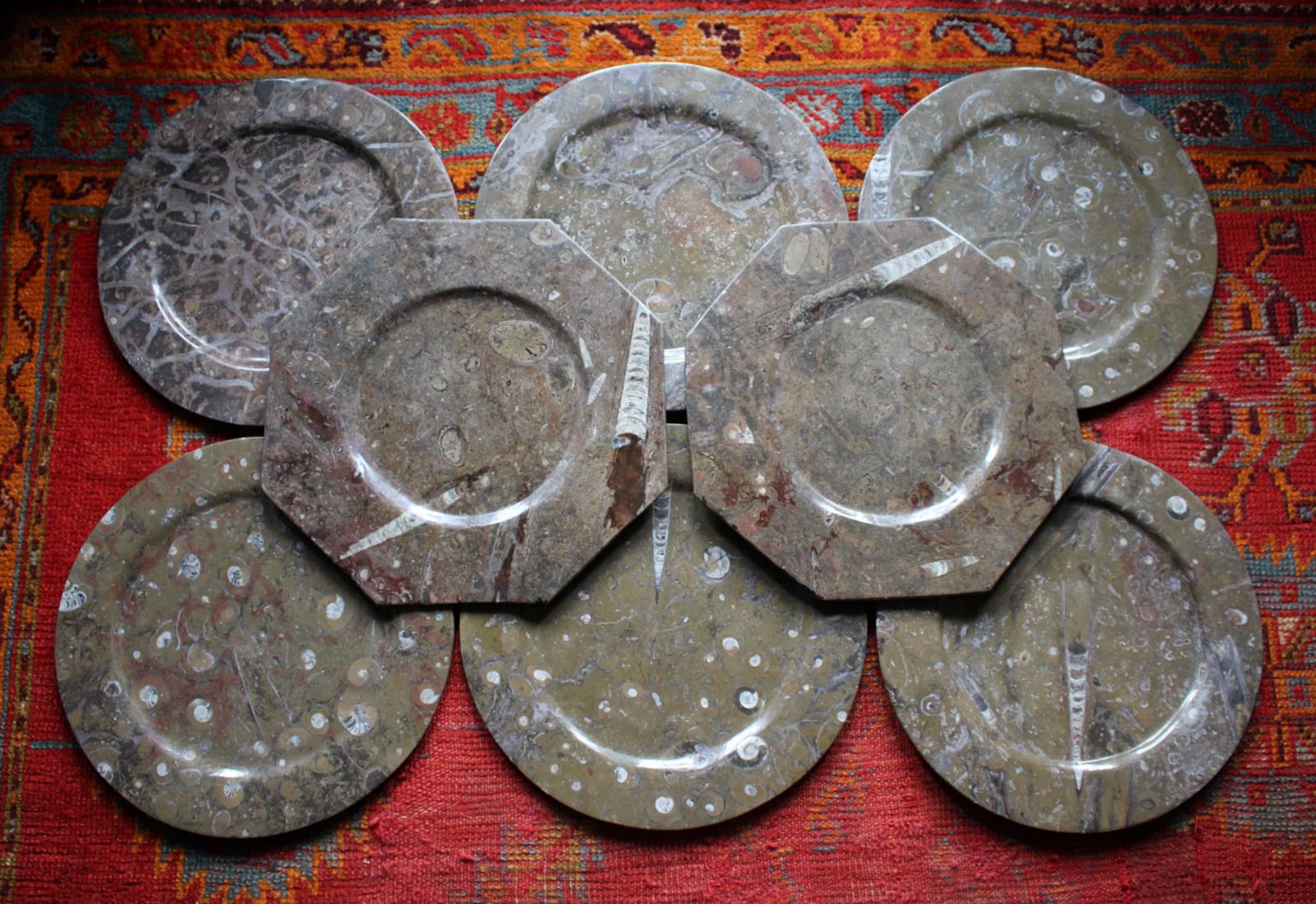 Eight Orthoceras & Ammonite Fossil Plates Platters Chargers Natural History photo vintage