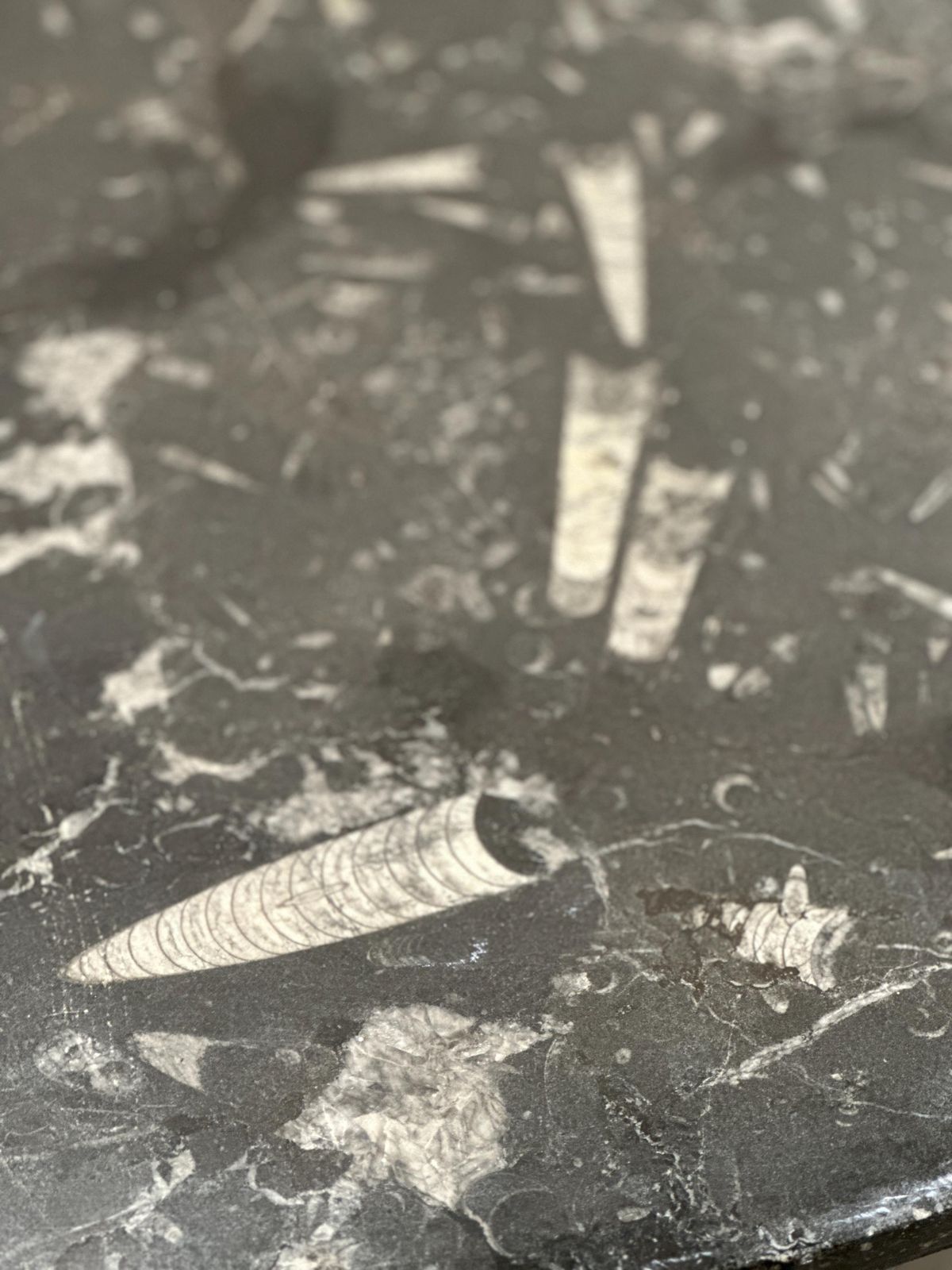 Fossil Stone Coffee Table On Plexiglass Cross Base, In The Style Of Heinz Lilienthal, 1970s photo buy