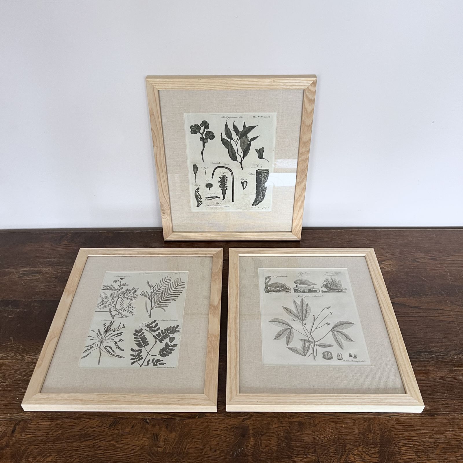Framed Prints