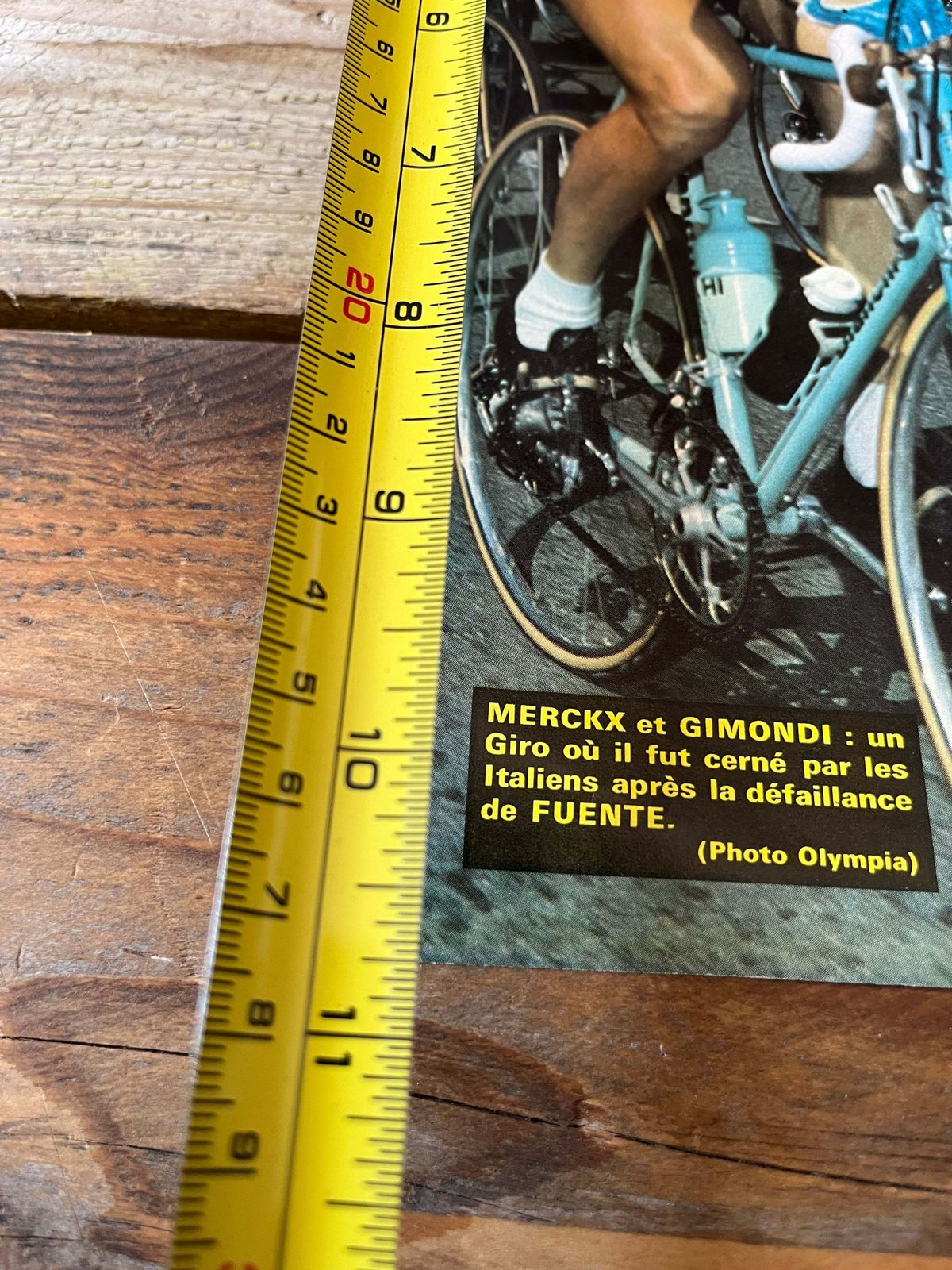 Vintage Cycling Print Eddy Merckx Felice Gimondi photo Art