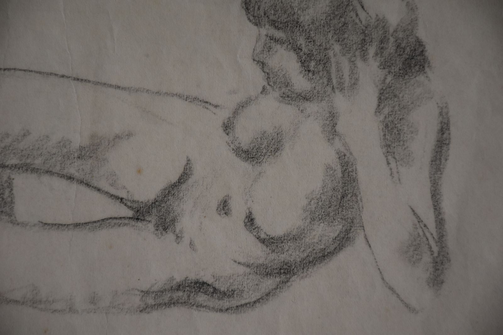 Joaquim Claret, Reclining Nude Woman (1914)   Claret Worked With Maillol photo vinterior