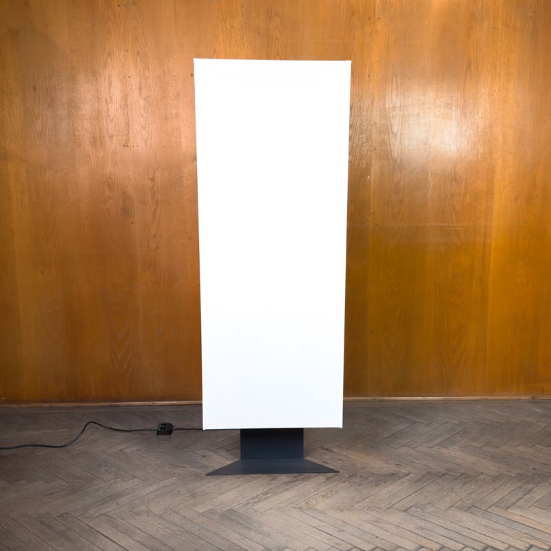 Floor Lamp „Accademia“ By Cini Boeri photo for sale