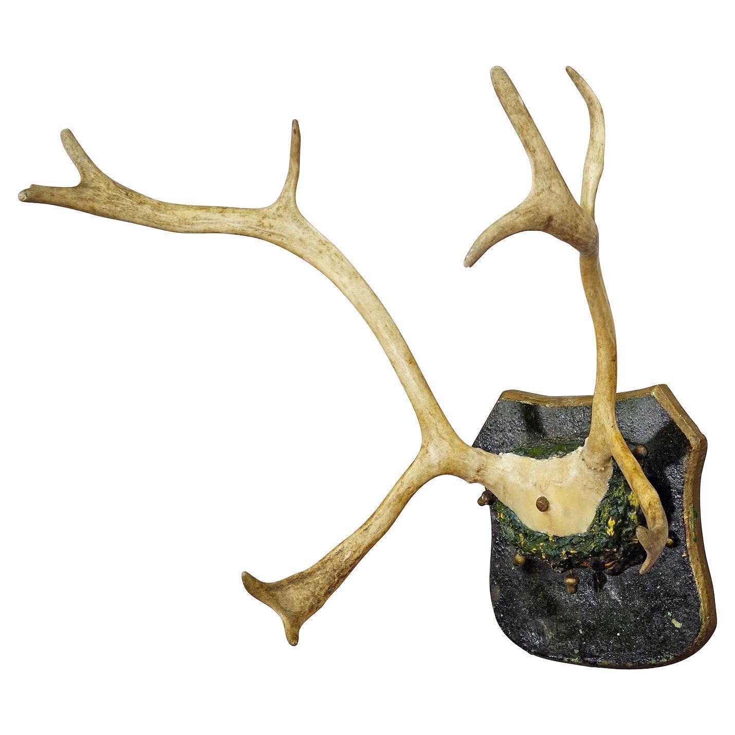 Antique Reindeer Antler Mount Taxidermy Cabin Decor Skull Antlers
