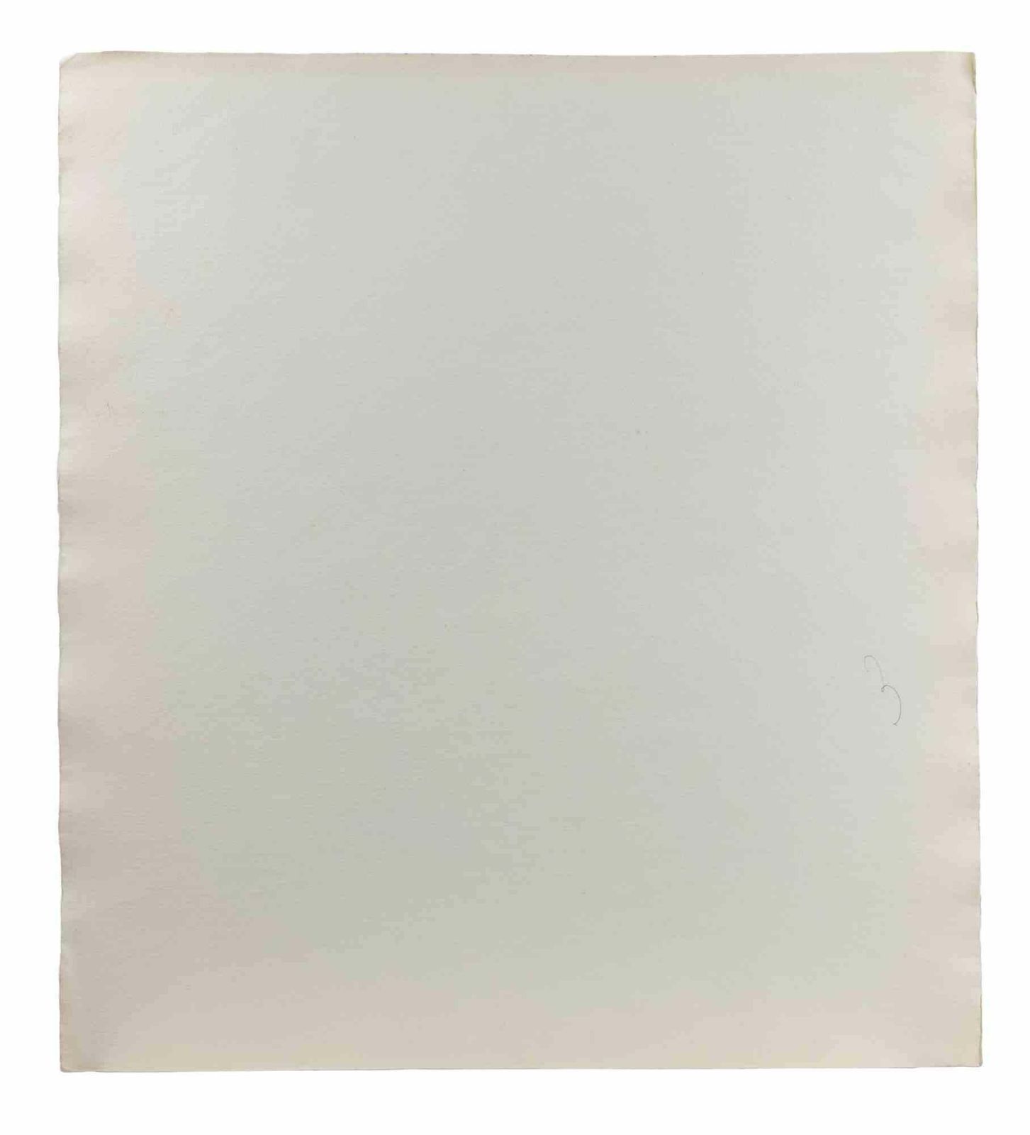 Carlo Ravagnanplant   Drawing By Carlo Ravagnan   1960s1960s photo furniture