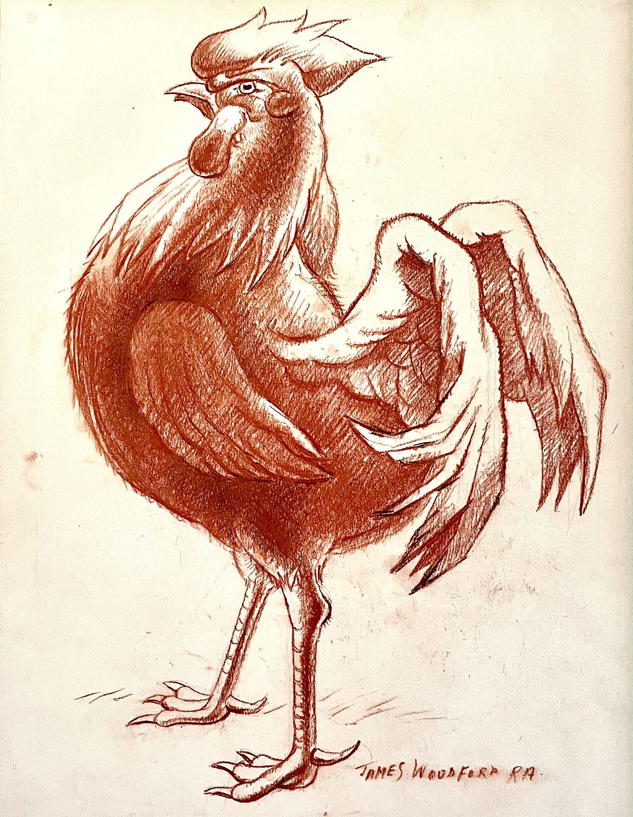 James Woodford   Cockerel   20th Century Red Chalk Drawing photo for sale