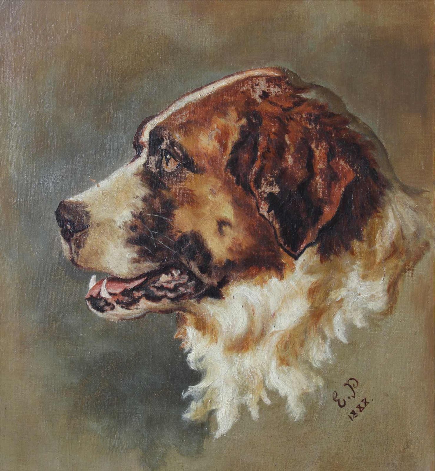 St Bernard Oil Painting On Canvas. Victorian Dog Portrait. Framed. 1888 photo 575.0