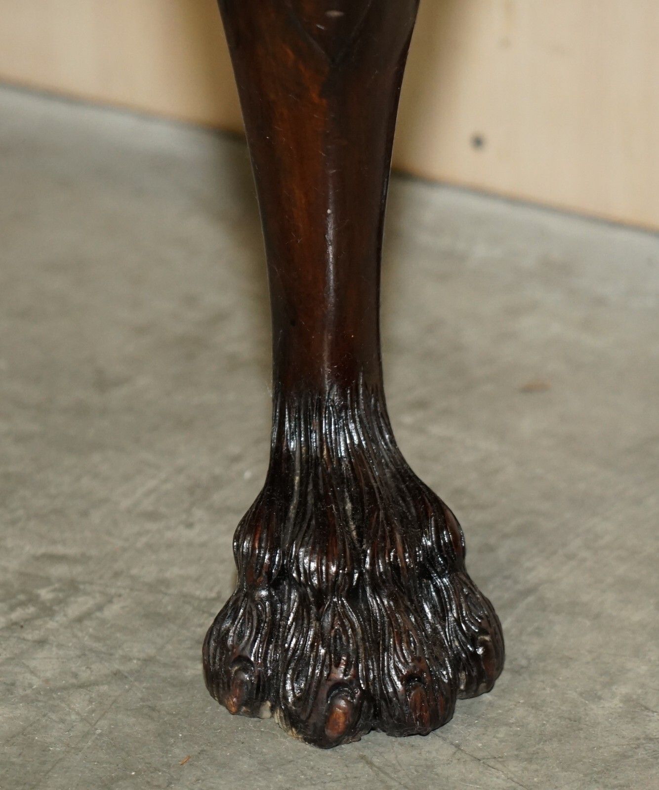 Furniture Antique Burr Walnut Lion Hairy Paw Feet Drinks Cabinet William & Mary Style photo