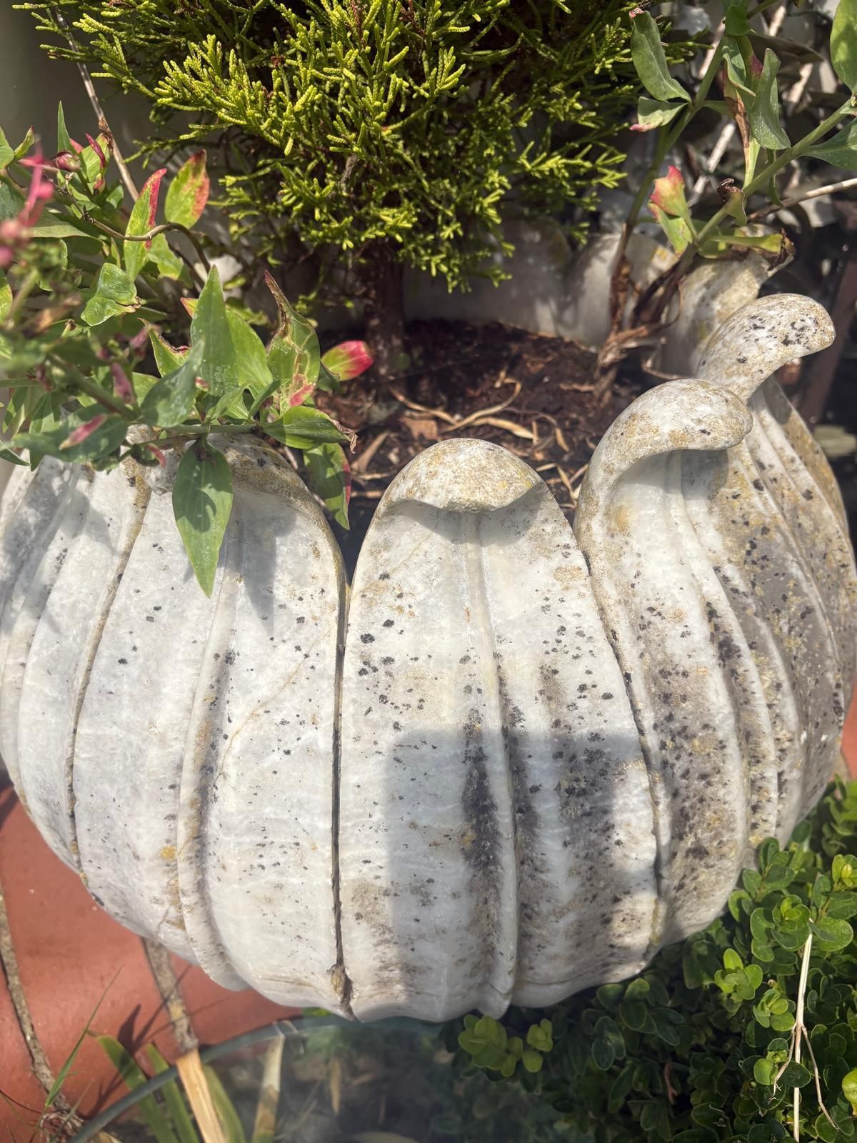 Variety 20th Century Hand Carved  Marble Planters Leaf Pattern, Scalloped / Round Top photo vintage