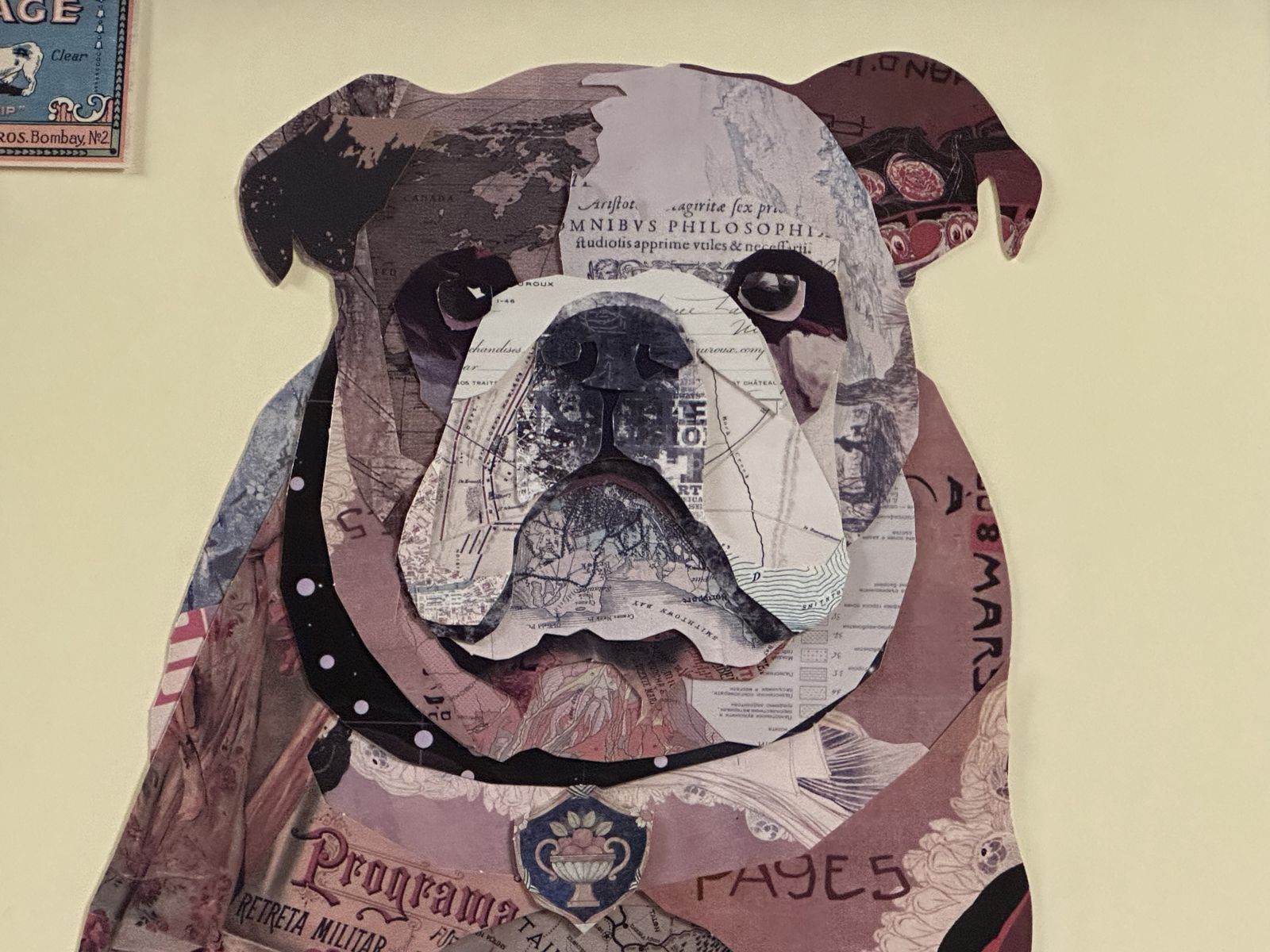Large Framed Three Dimensional Layered Collage Of An English Bulldog photo Art