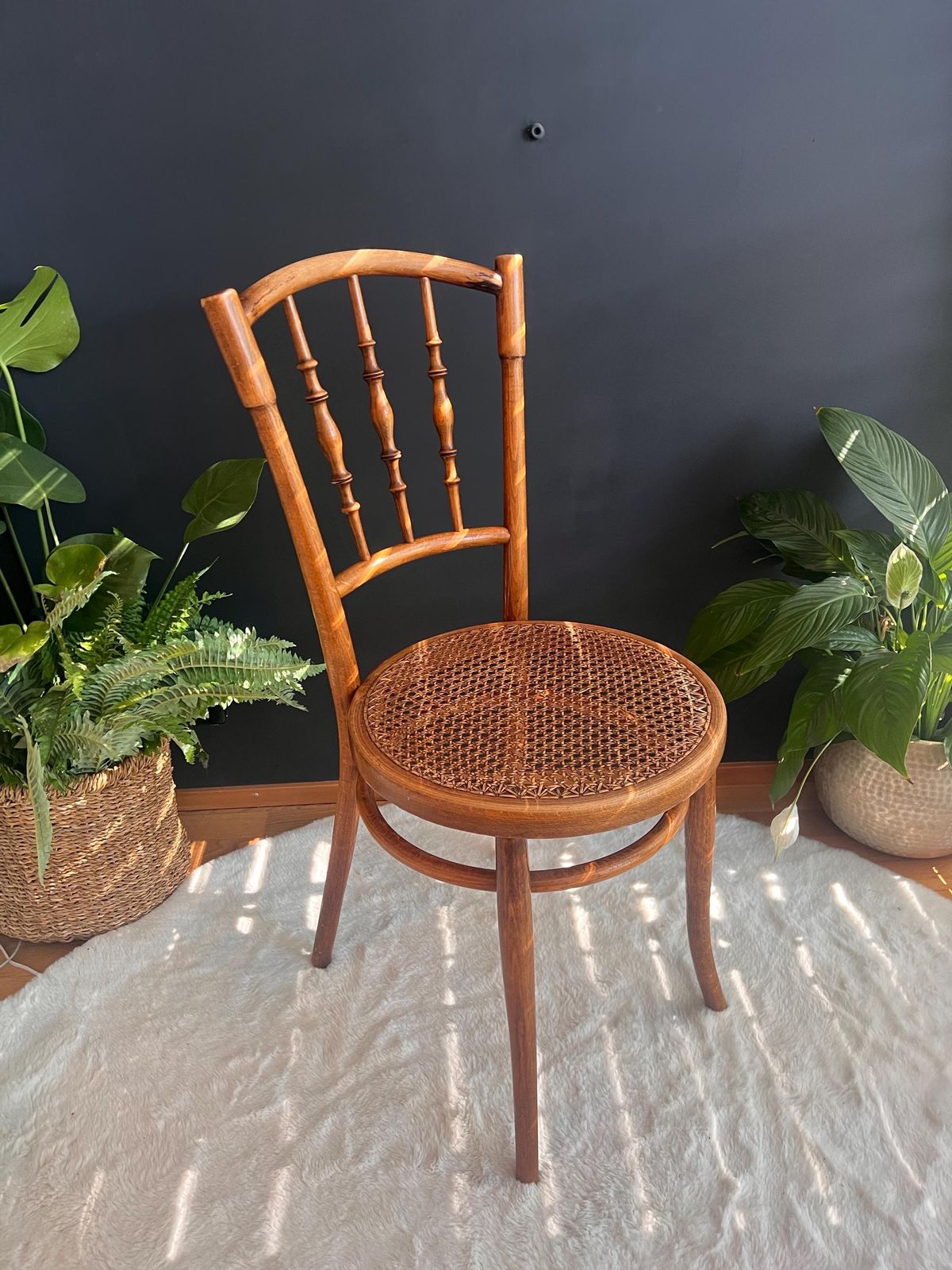 Rare Thonet No. 98 Bentwood Cane Chair | Authentic Vintage Bistro & Dining Seating | Bohemian Mcm Minimalist Accent