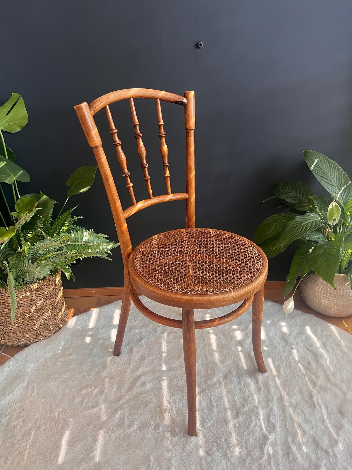 Rare Thonet No. 98 Bentwood Cane Chair | Authentic Vintage Bistro & Dining Seating | Bohemian Mcm Minimalist Accent photo furniture