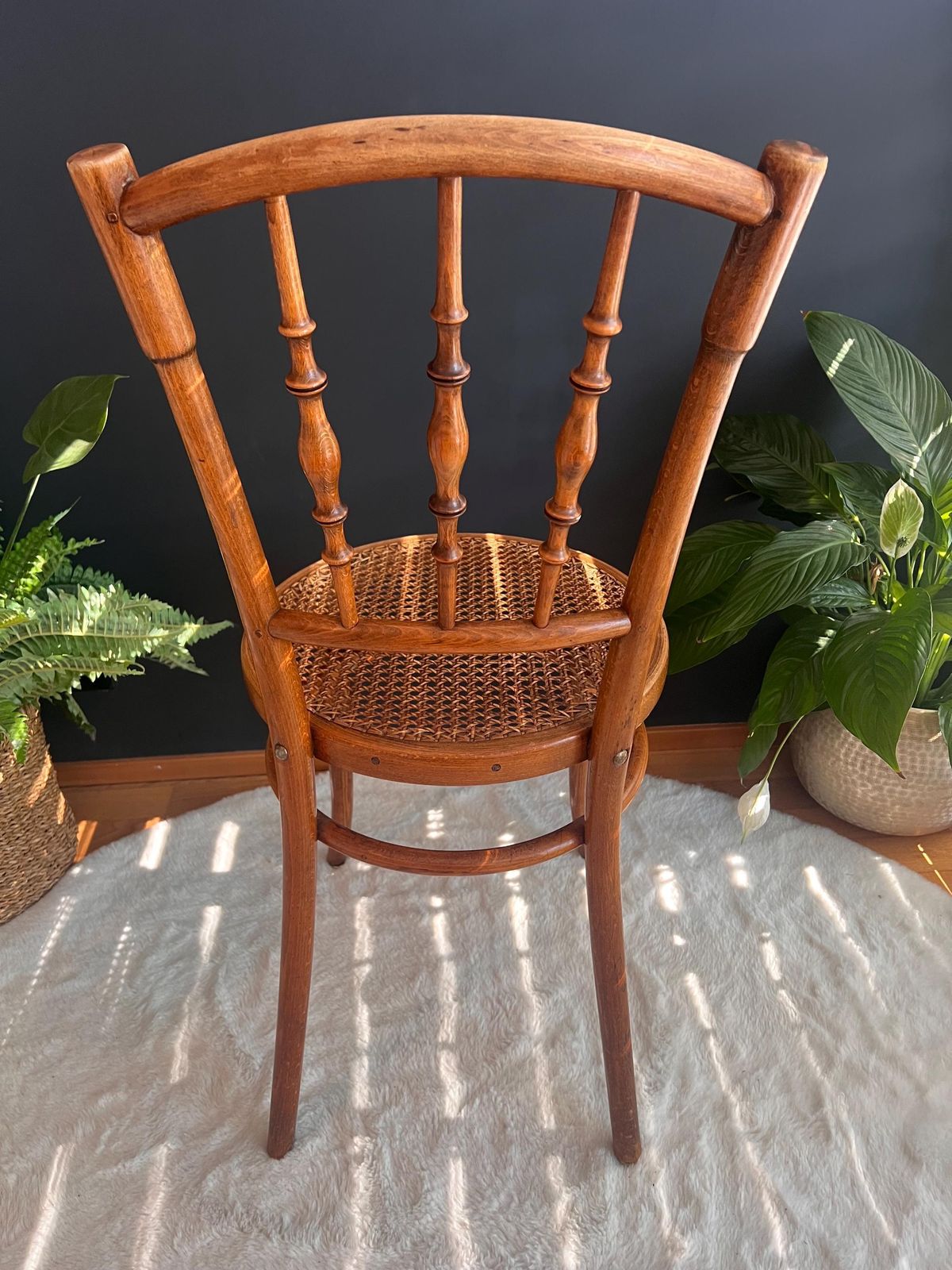 Rare Thonet No. 98 Bentwood Cane Chair | Authentic Vintage Bistro & Dining Seating | Bohemian Mcm Minimalist Accent photo vintage